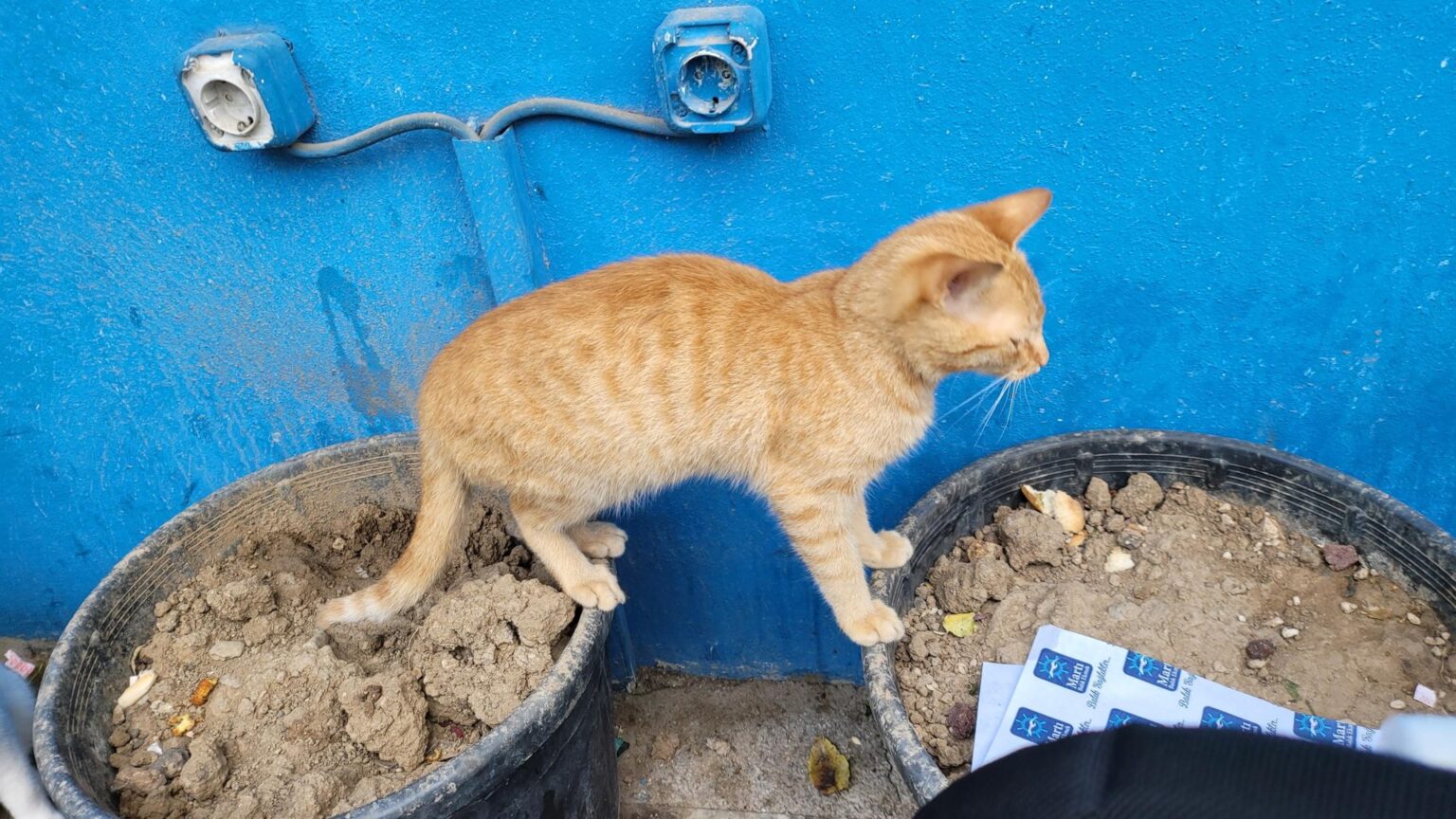 Antalya, Türkiye — 28
