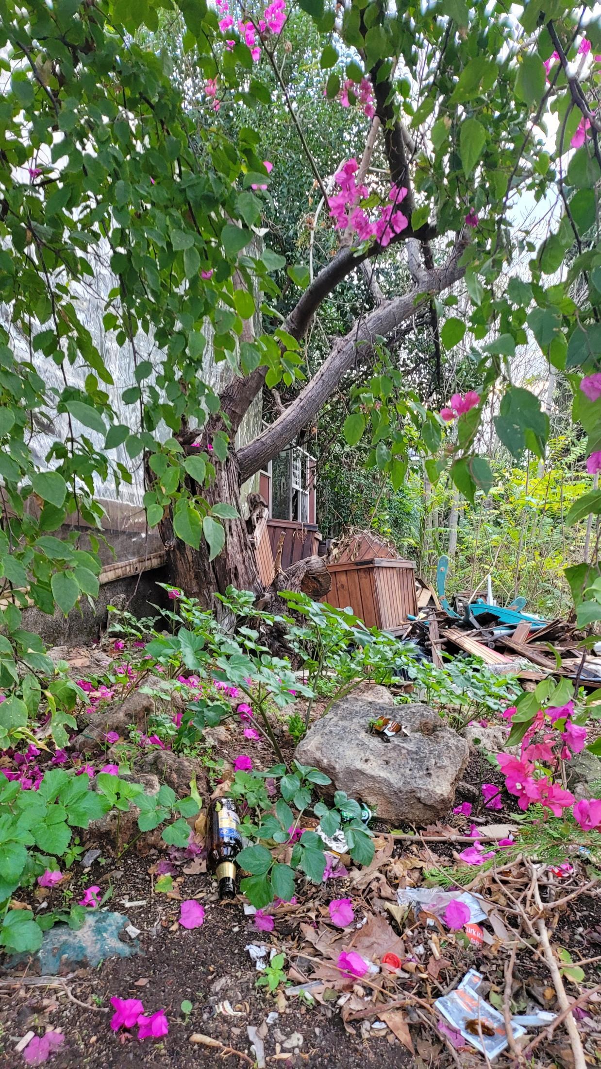 Antalya, Türkiye — 52