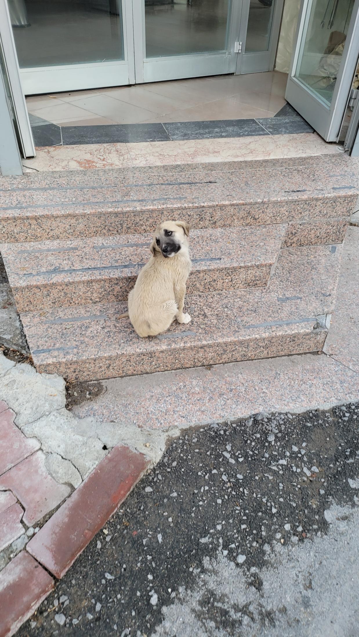 Antalya and Cappadocia trip gallery — 48