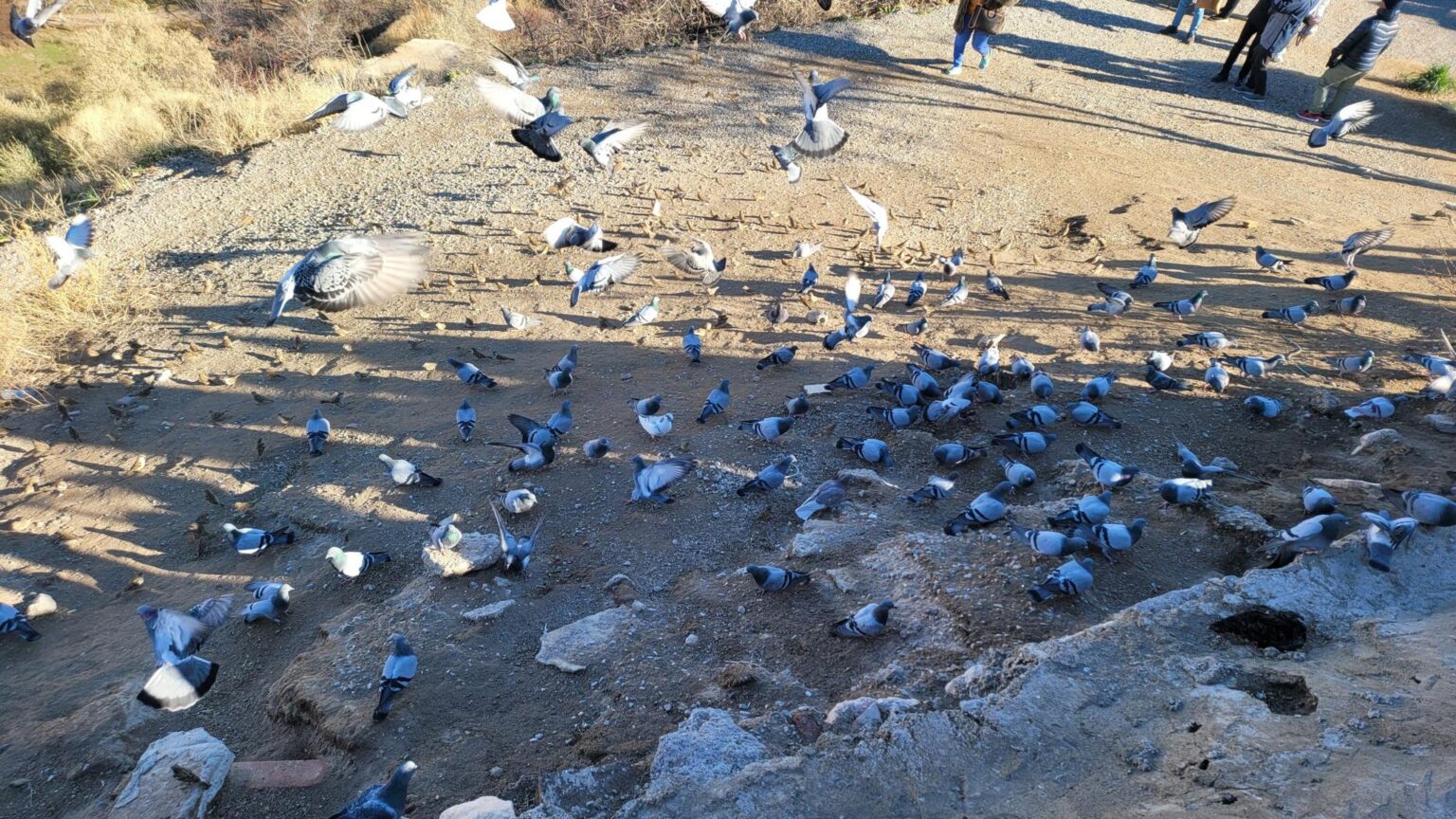 Antalya and Cappadocia trip gallery — 117