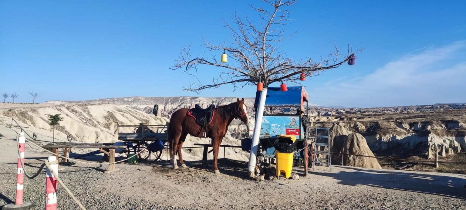Antalya and Cappadocia trip gallery — 283