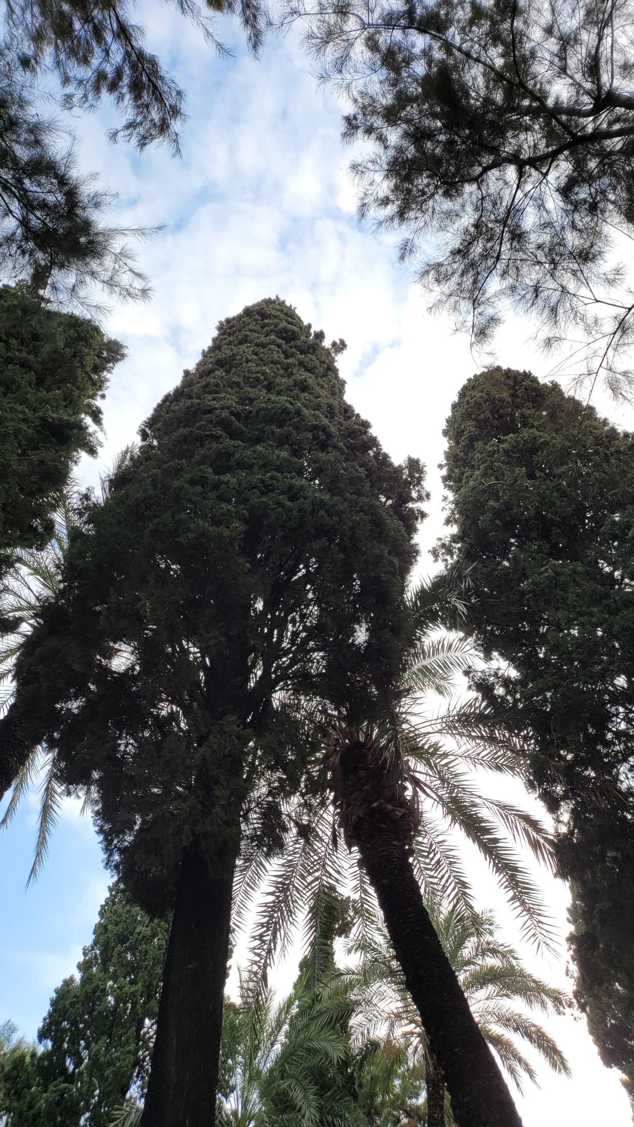 Antalya and Cappadocia trip gallery — 331