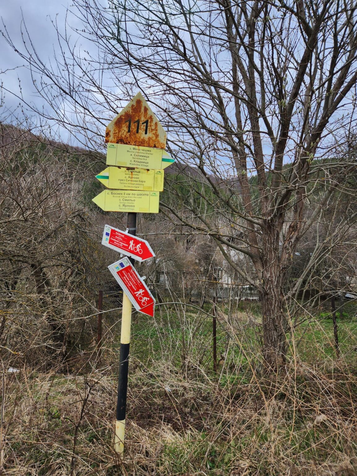 The Dark Side of Vitosha: The Eco-Trail from Chuypetlovo to Smilyo Shelter