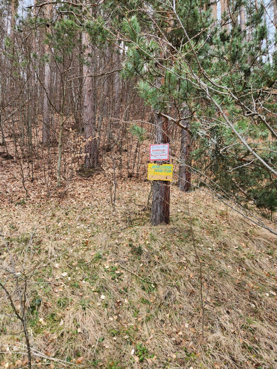 The Dark Side of Vitosha: The Eco-Trail from Chuypetlovo to Smilyo Shelter