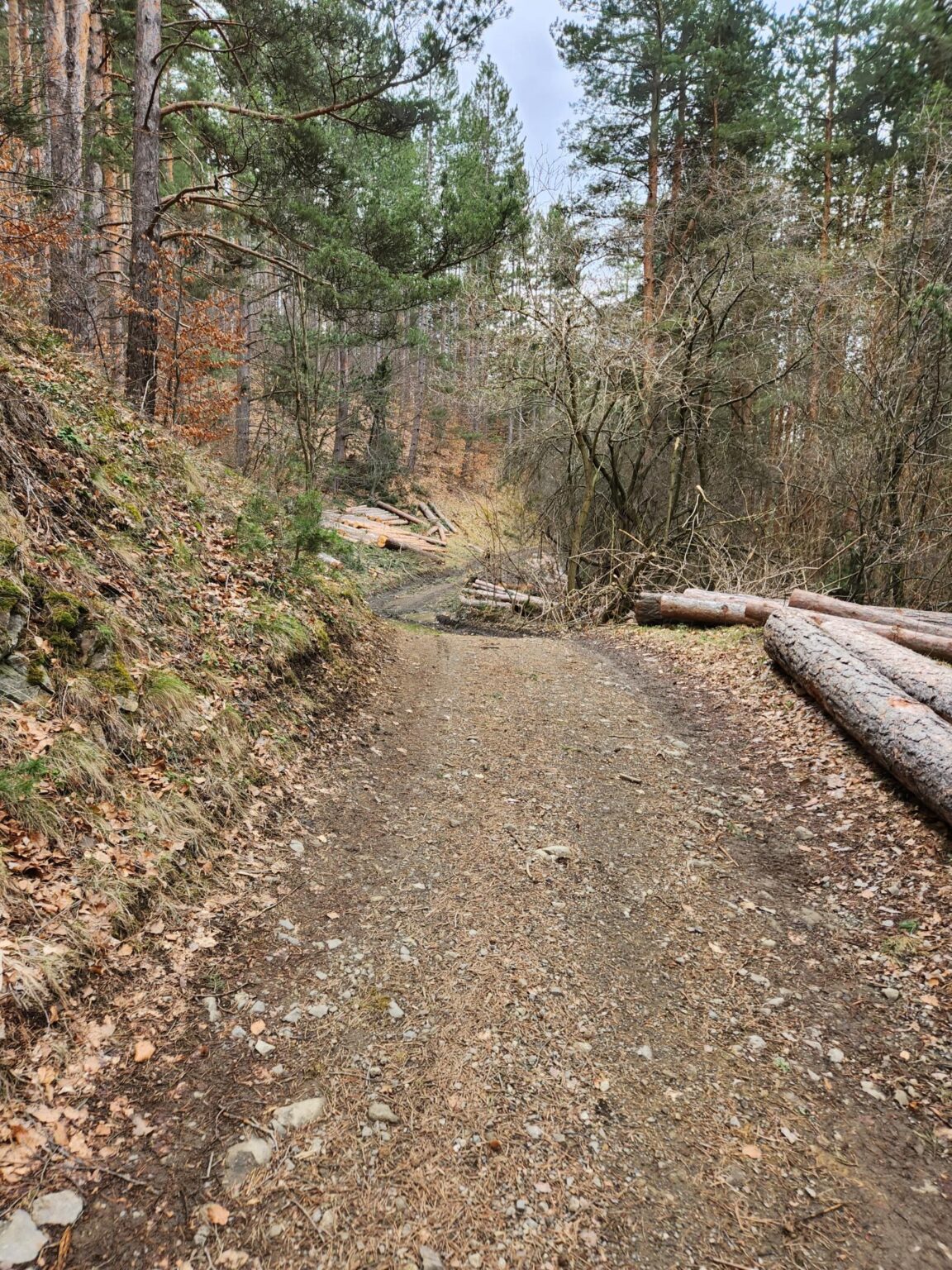 The Dark Side of Vitosha: The Eco-Trail from Chuypetlovo to Smilyo Shelter
