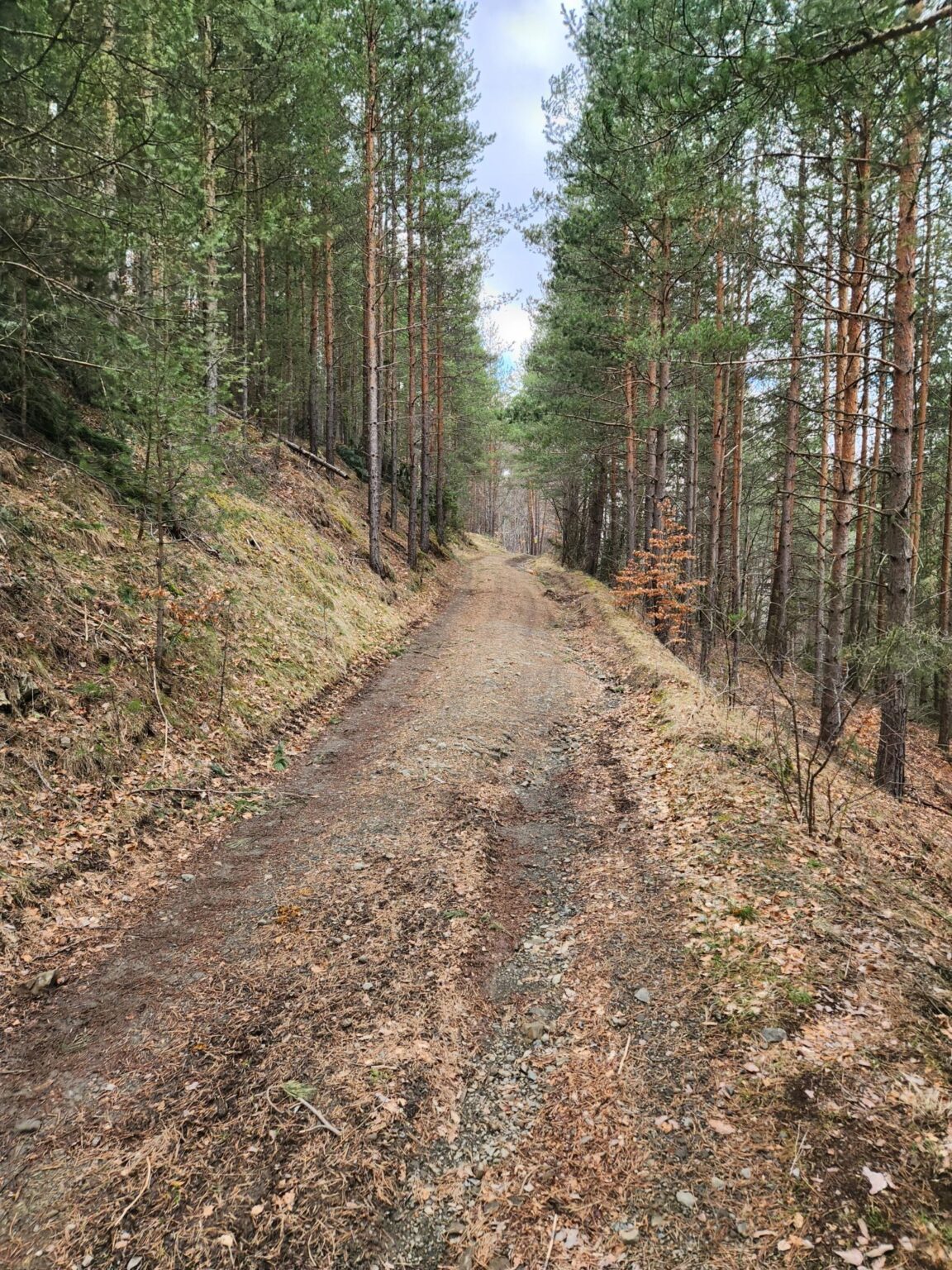 The Dark Side of Vitosha: The Eco-Trail from Chuypetlovo to Smilyo Shelter