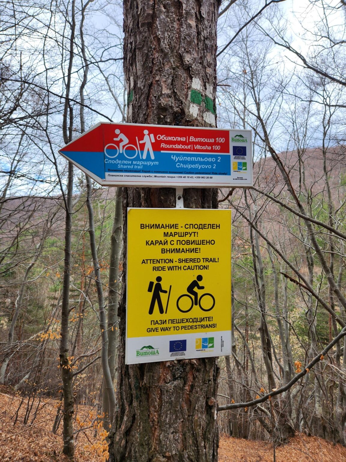 The Dark Side of Vitosha: The Eco-Trail from Chuypetlovo to Smilyo Shelter