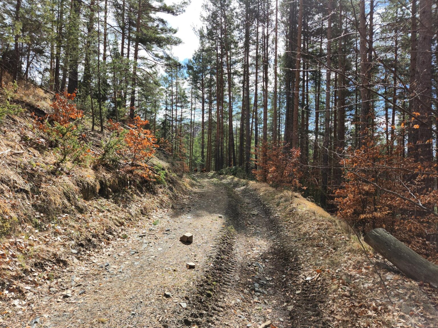 The Dark Side of Vitosha: The Eco-Trail from Chuypetlovo to Smilyo Shelter