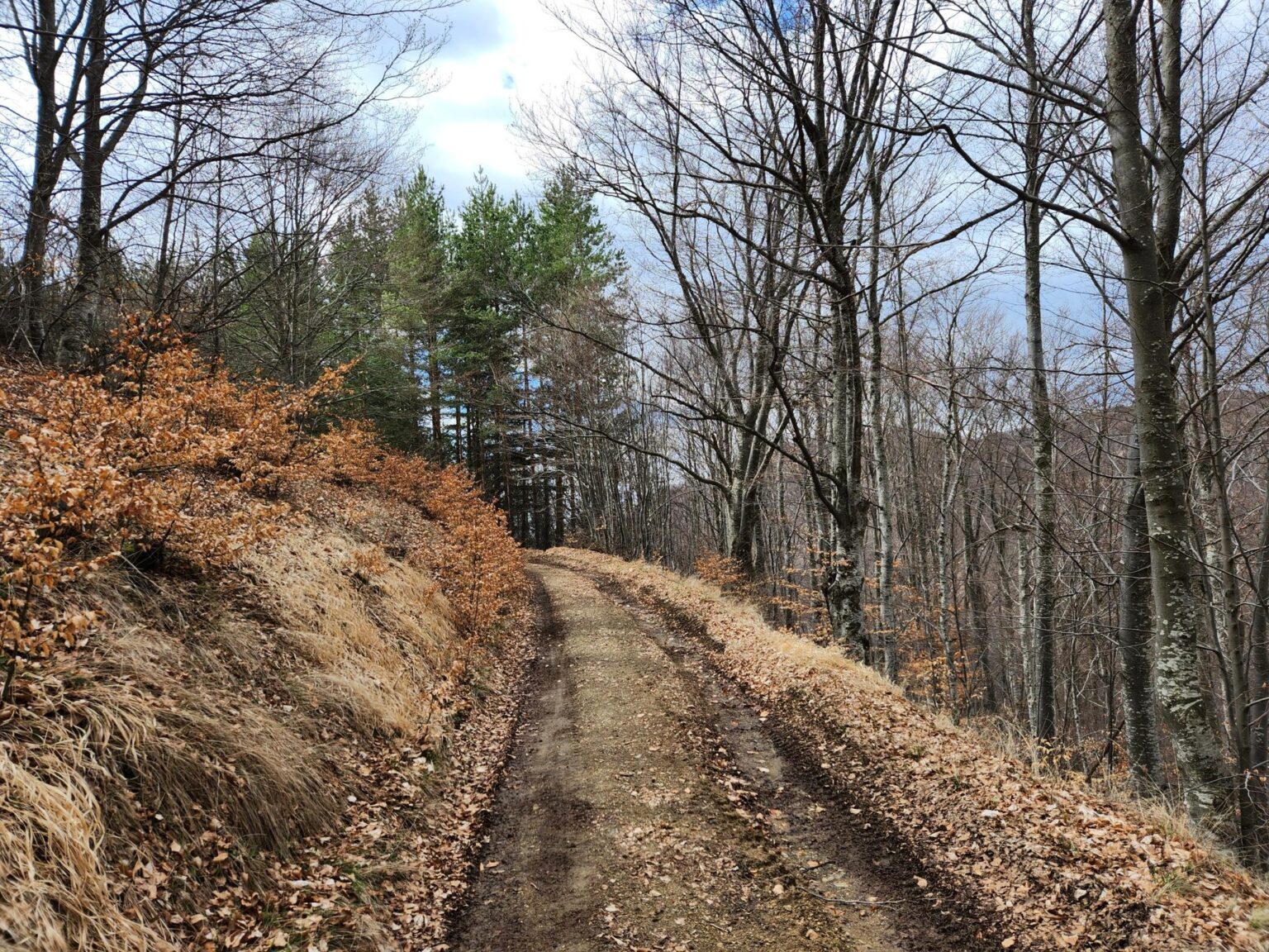 The Dark Side of Vitosha: The Eco-Trail from Chuypetlovo to Smilyo Shelter