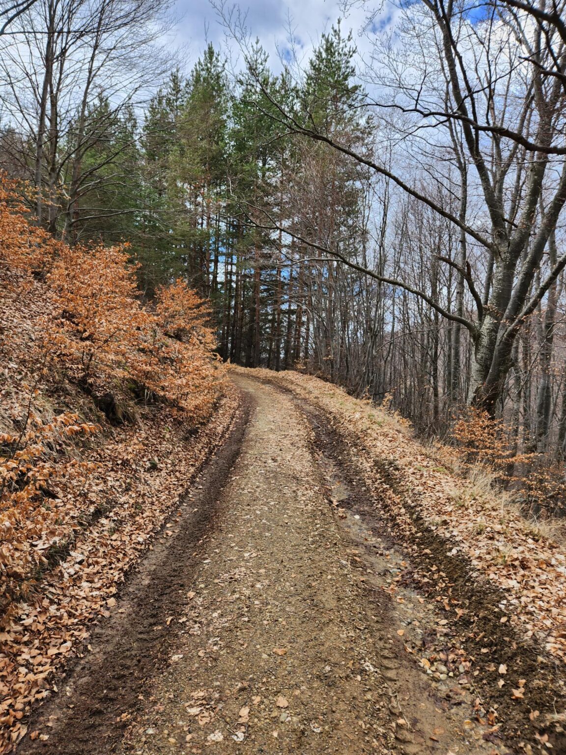 The Dark Side of Vitosha: The Eco-Trail from Chuypetlovo to Smilyo Shelter