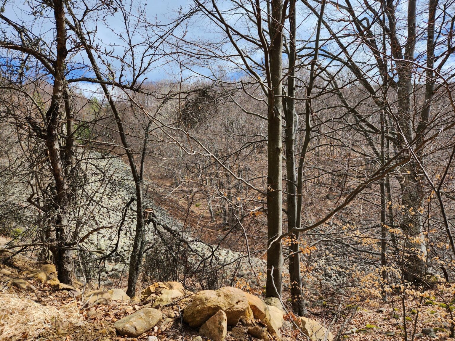 The Dark Side of Vitosha: The Eco-Trail from Chuypetlovo to Smilyo Shelter