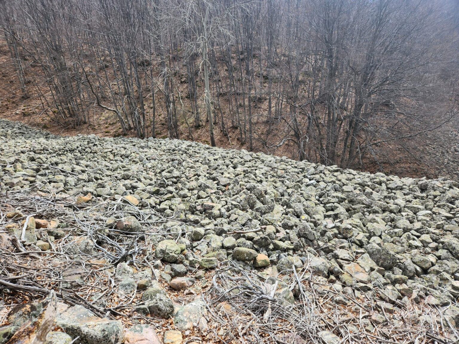 The Dark Side of Vitosha: The Eco-Trail from Chuypetlovo to Smilyo Shelter