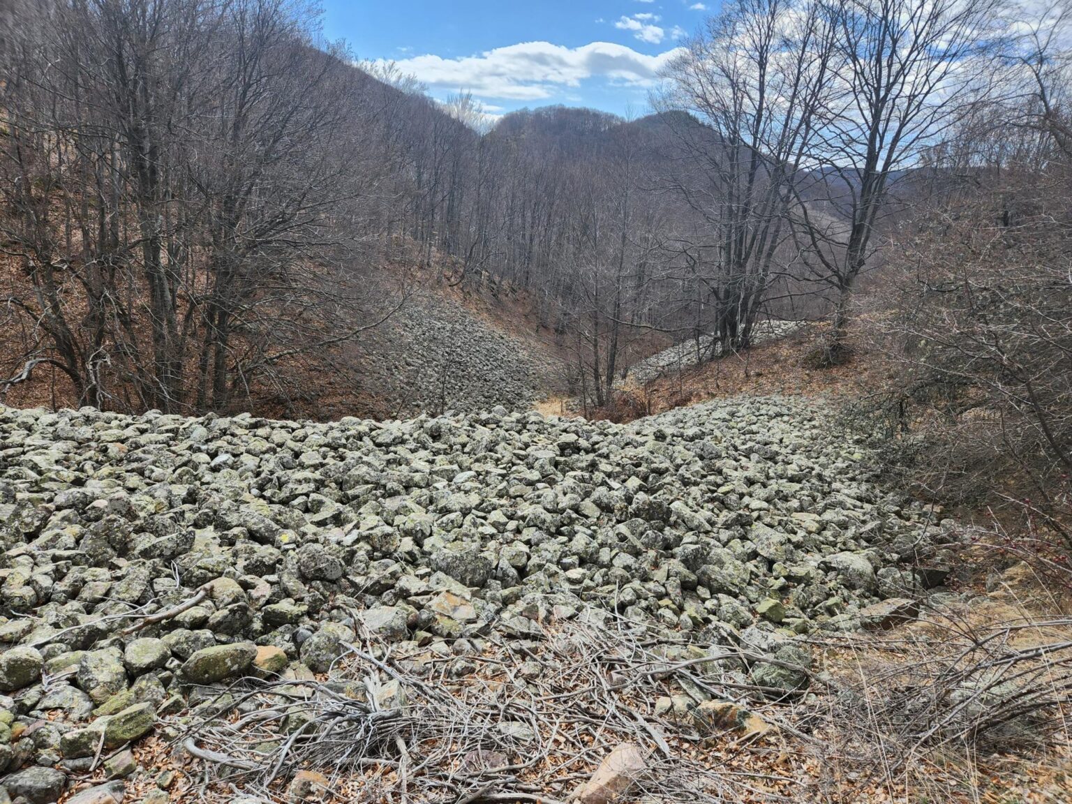 The Dark Side of Vitosha: The Eco-Trail from Chuypetlovo to Smilyo Shelter