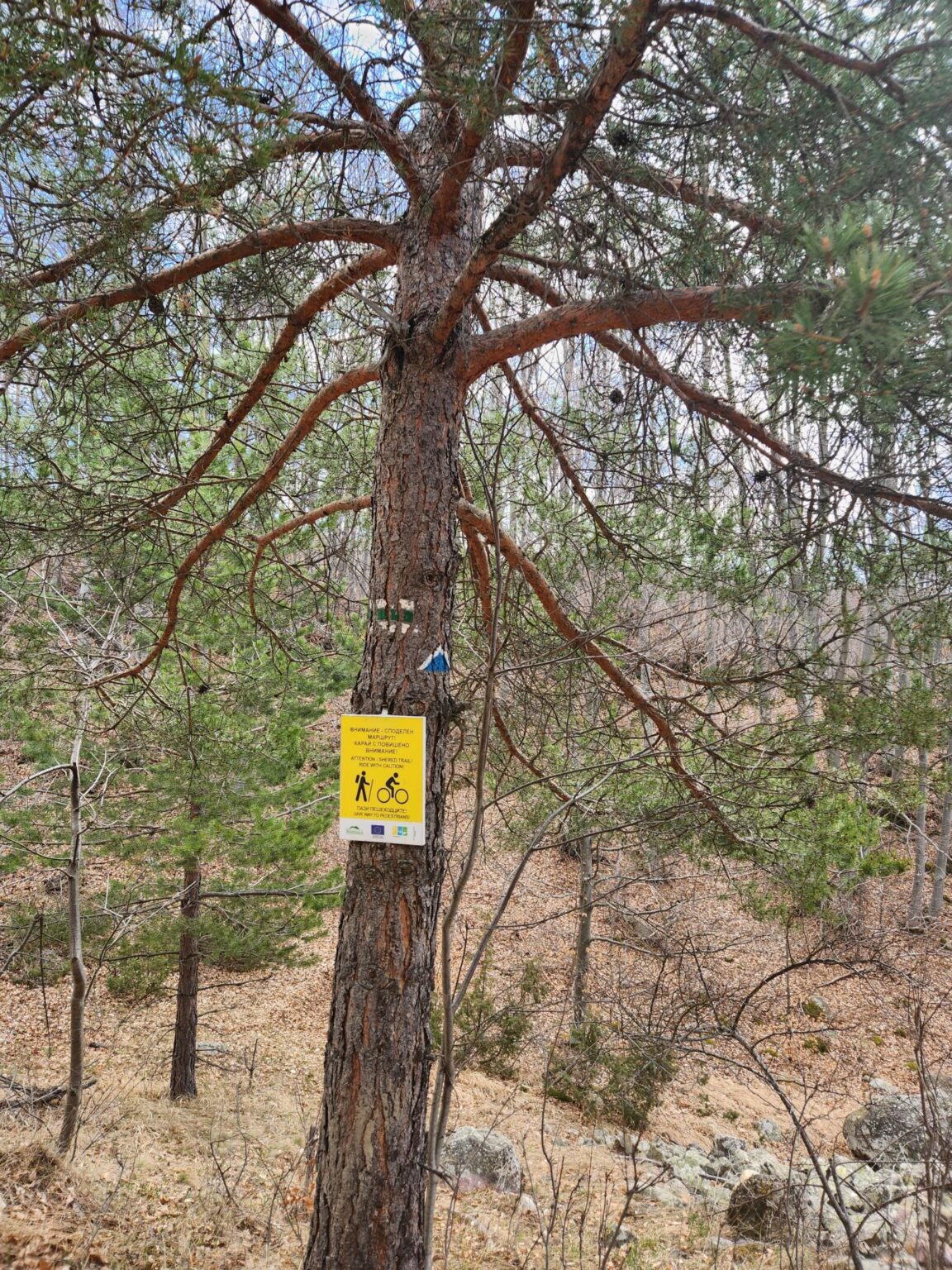 The Dark Side of Vitosha: The Eco-Trail from Chuypetlovo to Smilyo Shelter