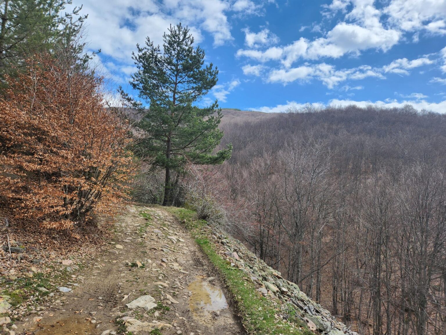 The Dark Side of Vitosha: The Eco-Trail from Chuypetlovo to Smilyo Shelter