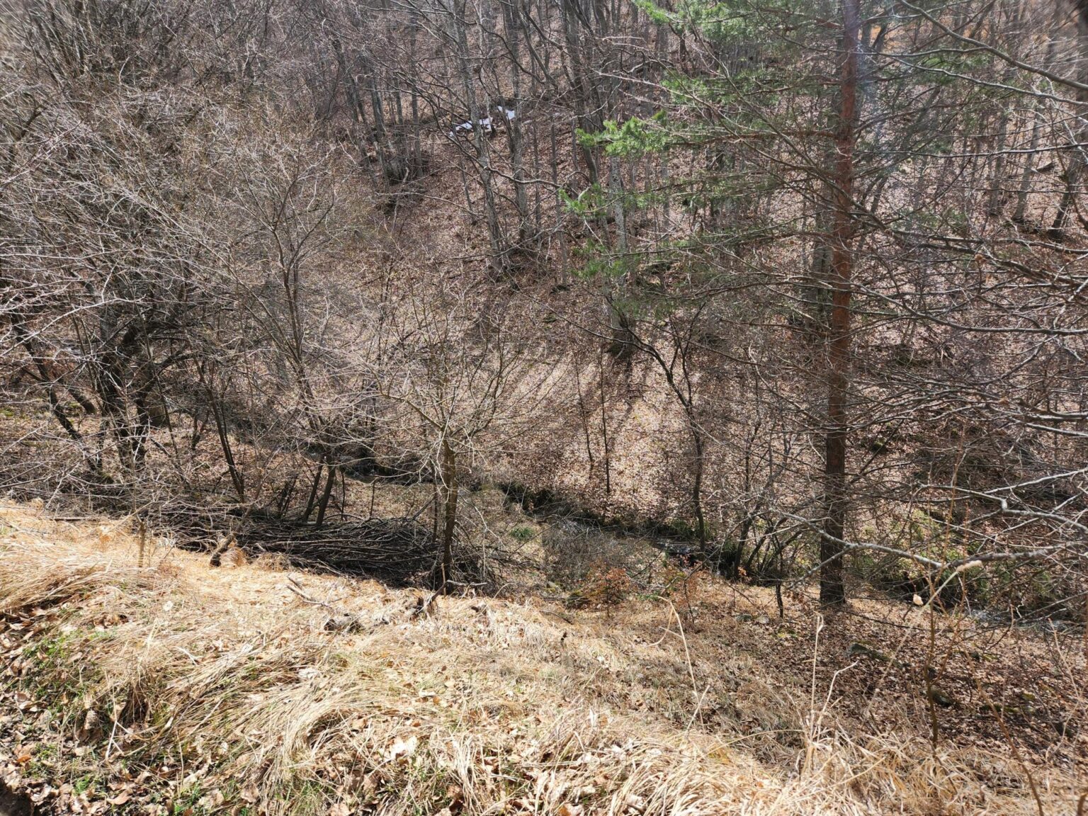 The Dark Side of Vitosha: The Eco-Trail from Chuypetlovo to Smilyo Shelter
