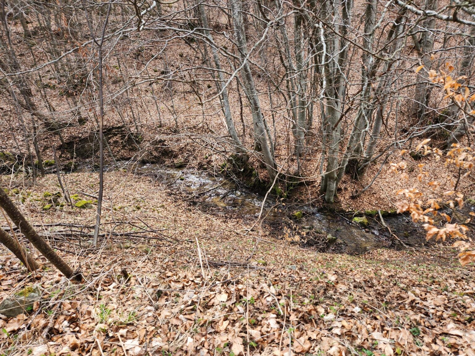The Dark Side of Vitosha: The Eco-Trail from Chuypetlovo to Smilyo Shelter