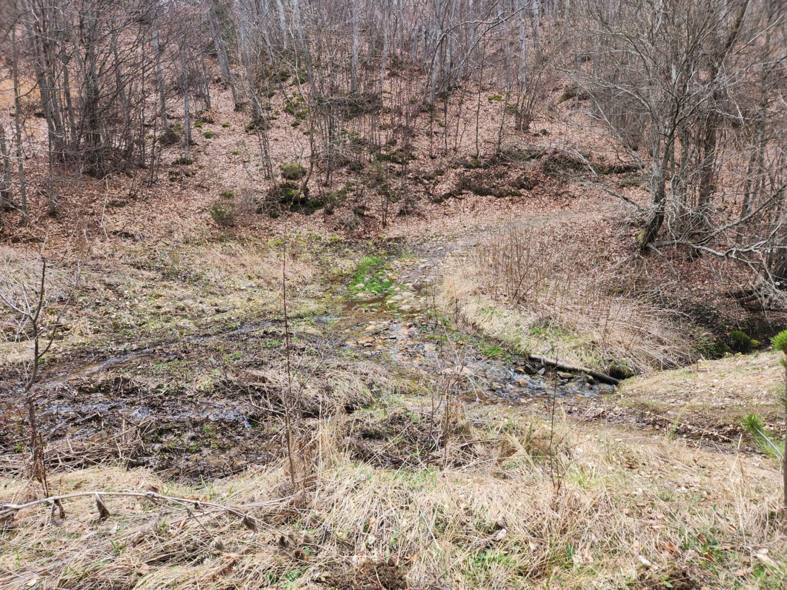 The Dark Side of Vitosha: The Eco-Trail from Chuypetlovo to Smilyo Shelter