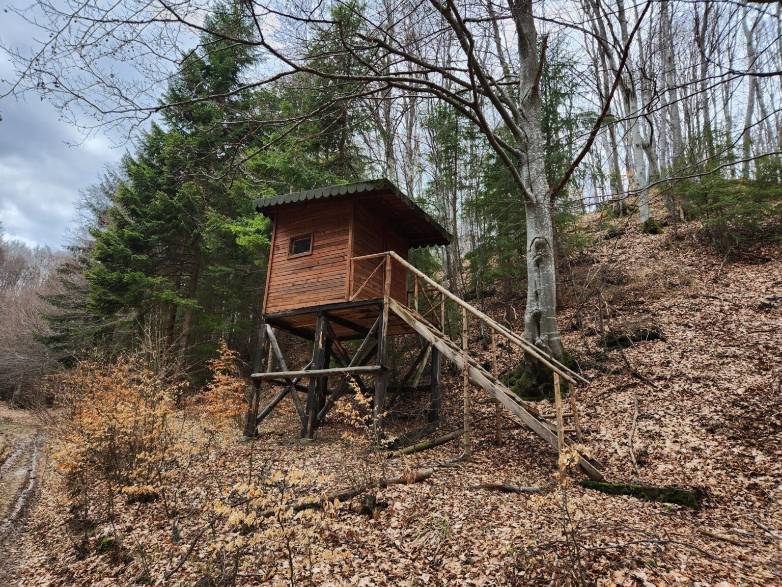 The Dark Side of Vitosha: The Eco-Trail from Chuypetlovo to Smilyo Shelter