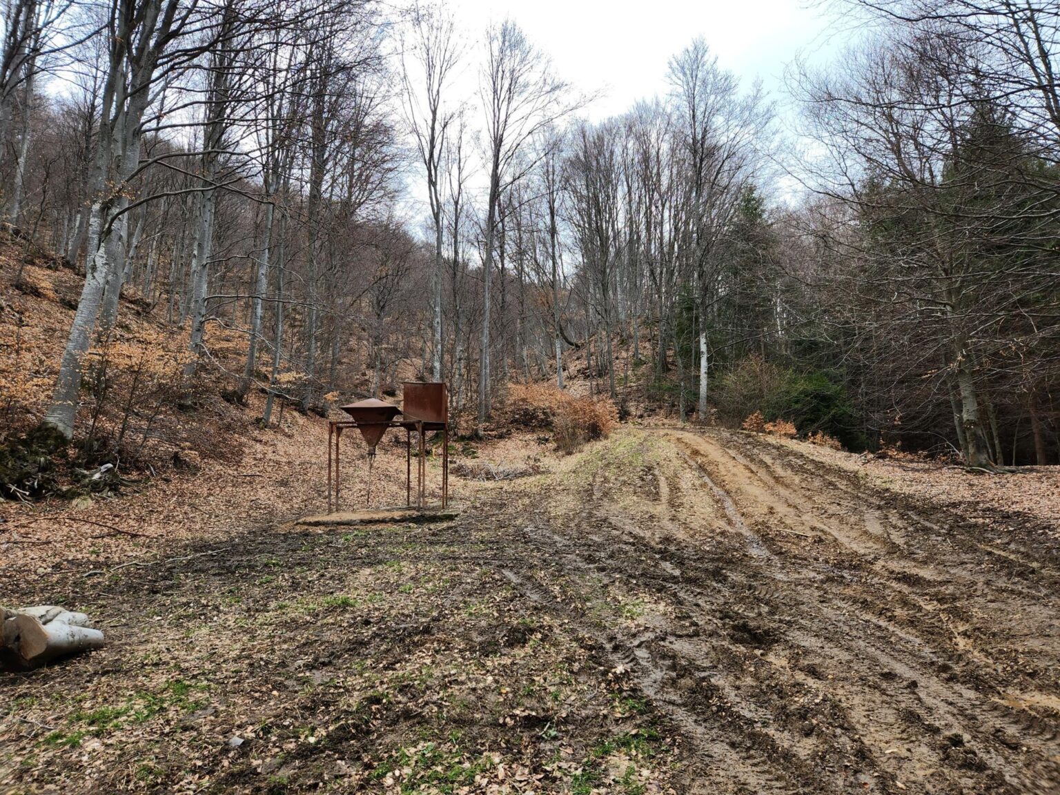 The Dark Side of Vitosha: The Eco-Trail from Chuypetlovo to Smilyo Shelter