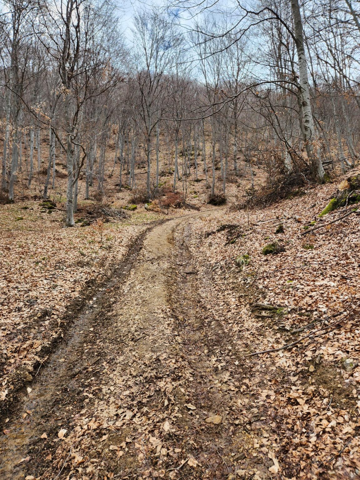 The Dark Side of Vitosha: The Eco-Trail from Chuypetlovo to Smilyo Shelter