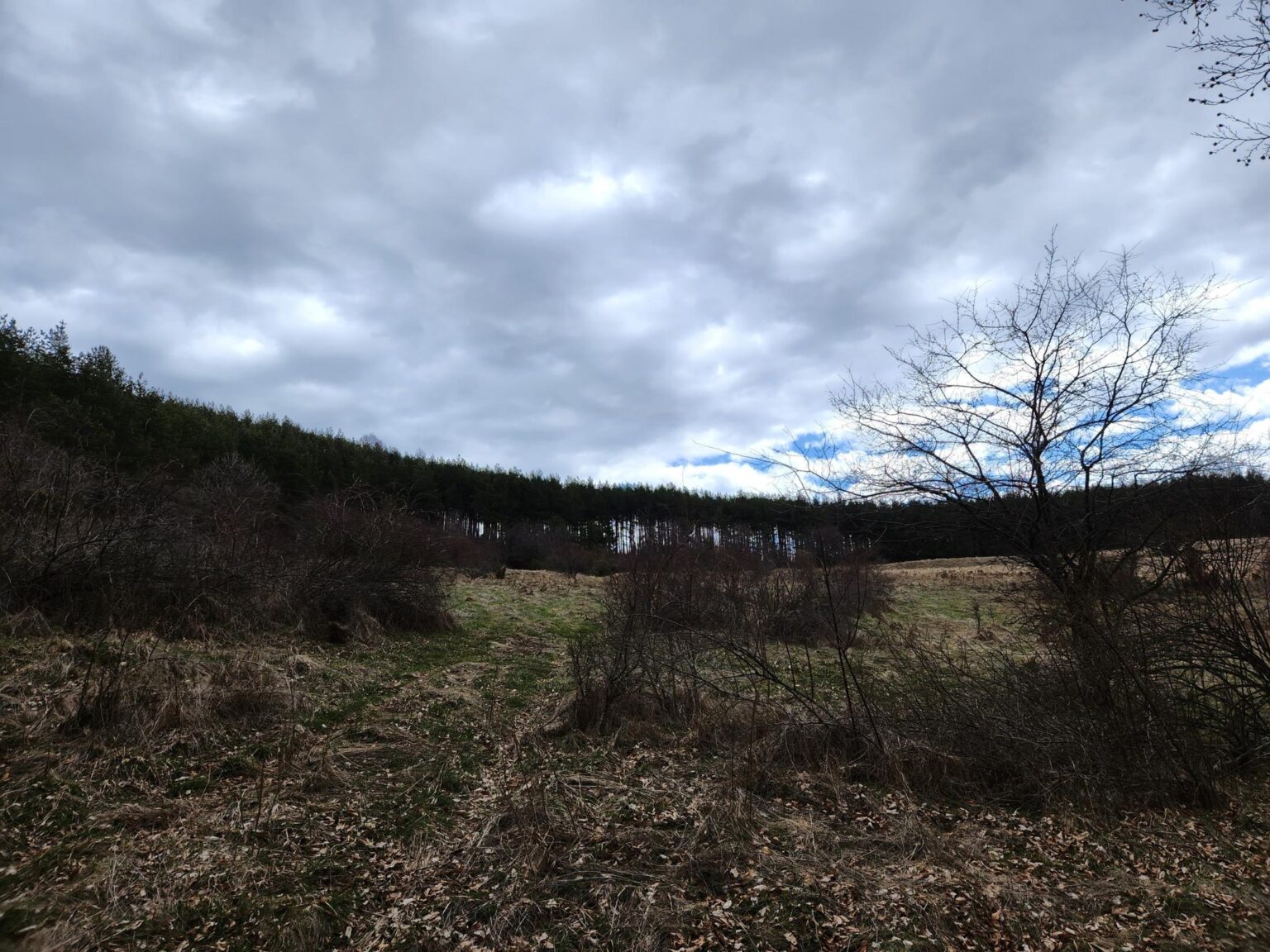 The Dark Side of Vitosha: The Eco-Trail from Chuypetlovo to Smilyo Shelter