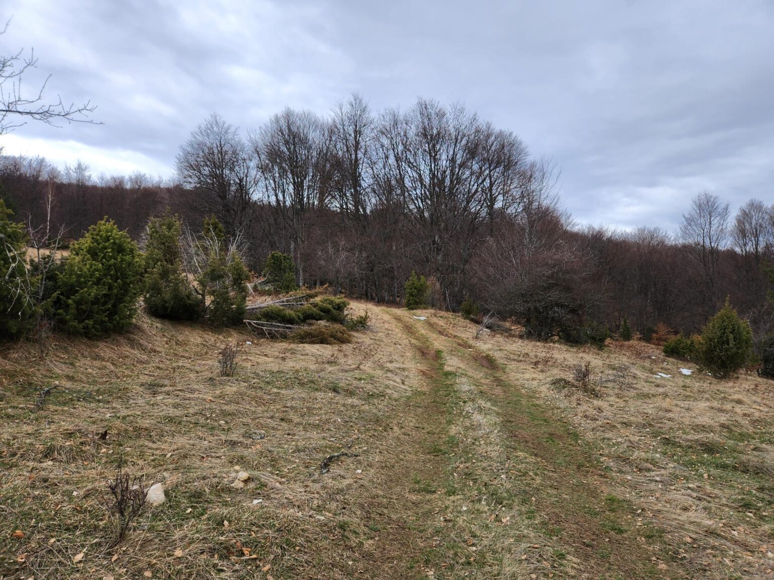The Dark Side of Vitosha: The Eco-Trail from Chuypetlovo to Smilyo Shelter