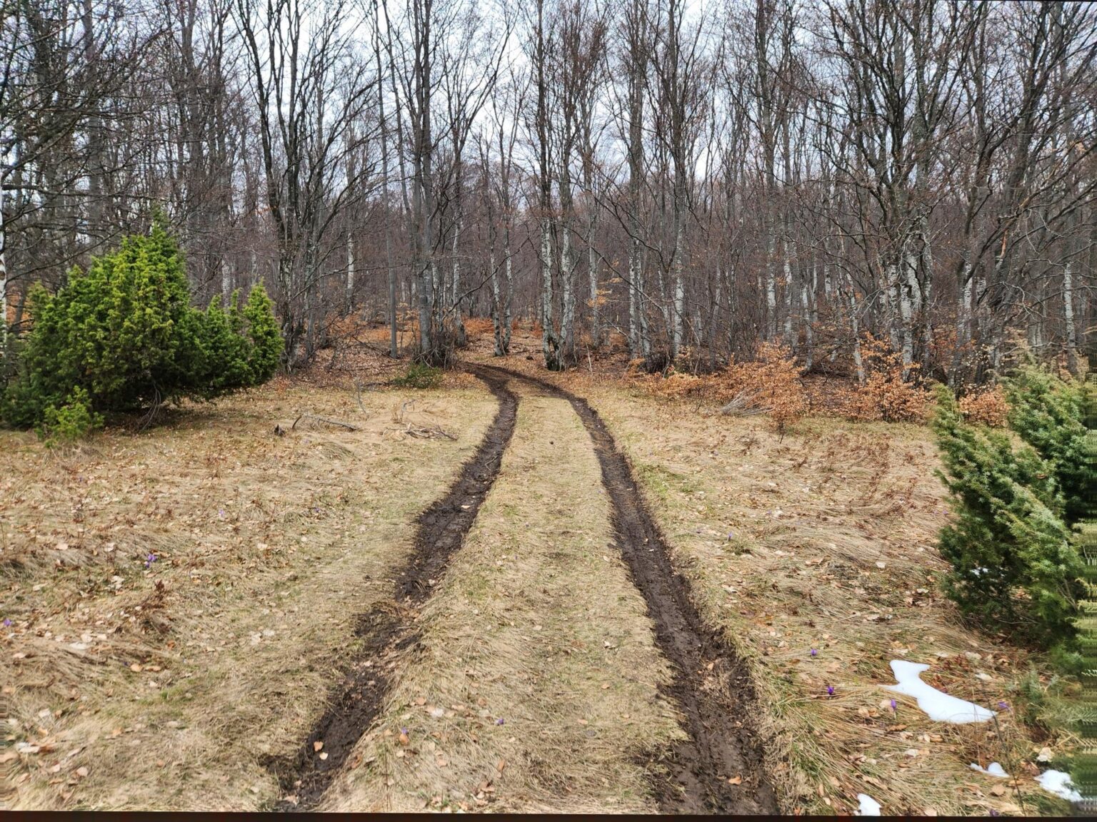 The Dark Side of Vitosha: The Eco-Trail from Chuypetlovo to Smilyo Shelter