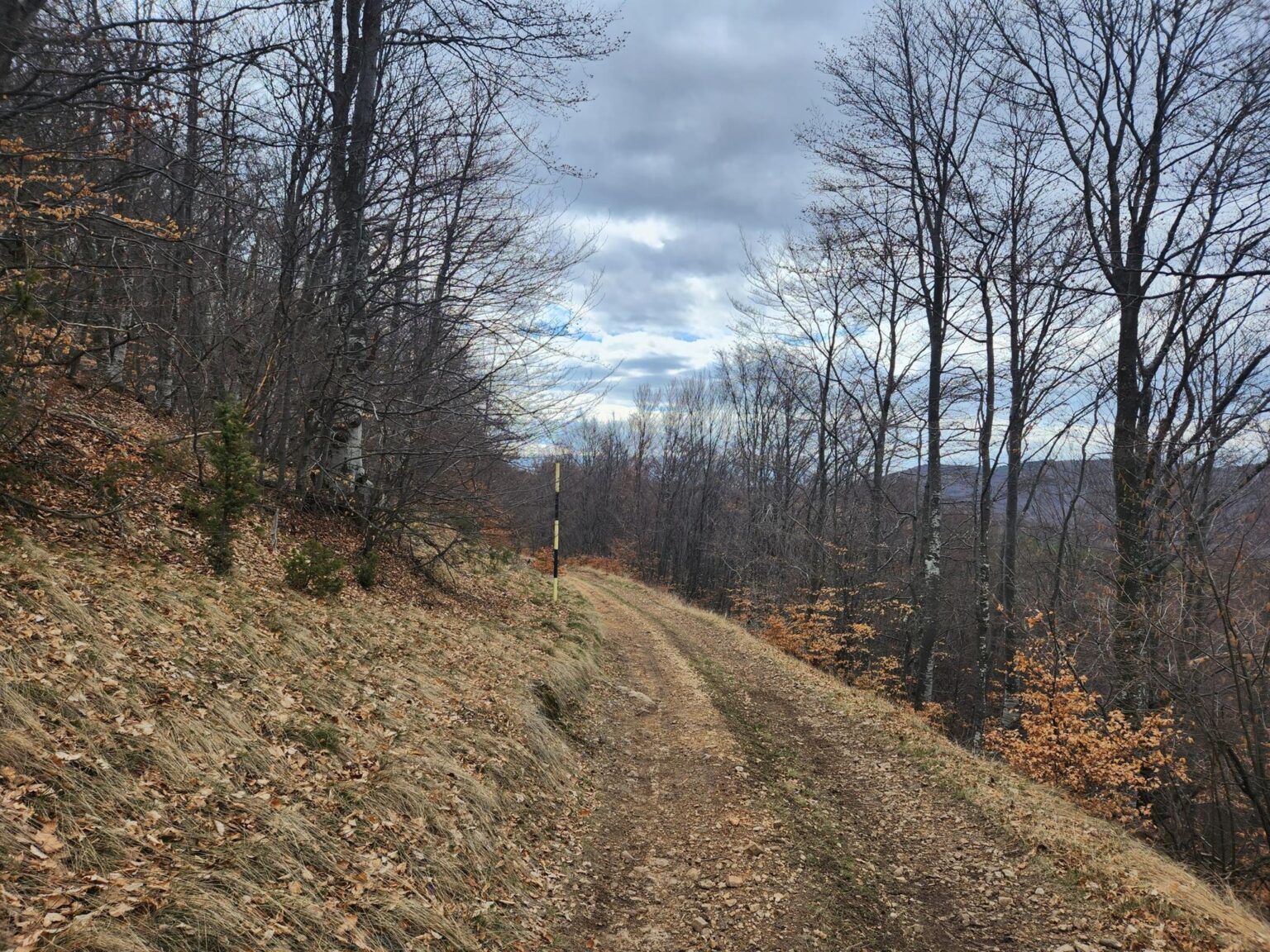 The Dark Side of Vitosha: The Eco-Trail from Chuypetlovo to Smilyo Shelter