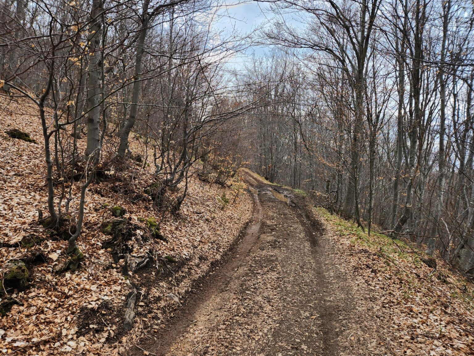 The Dark Side of Vitosha: The Eco-Trail from Chuypetlovo to Smilyo Shelter