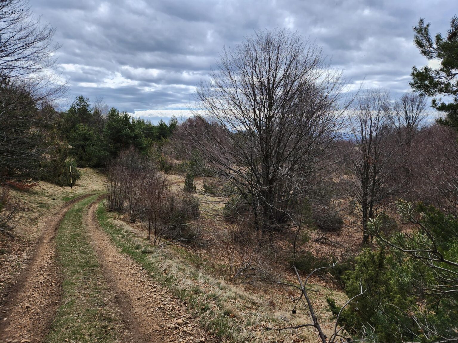 The Dark Side of Vitosha: The Eco-Trail from Chuypetlovo to Smilyo Shelter