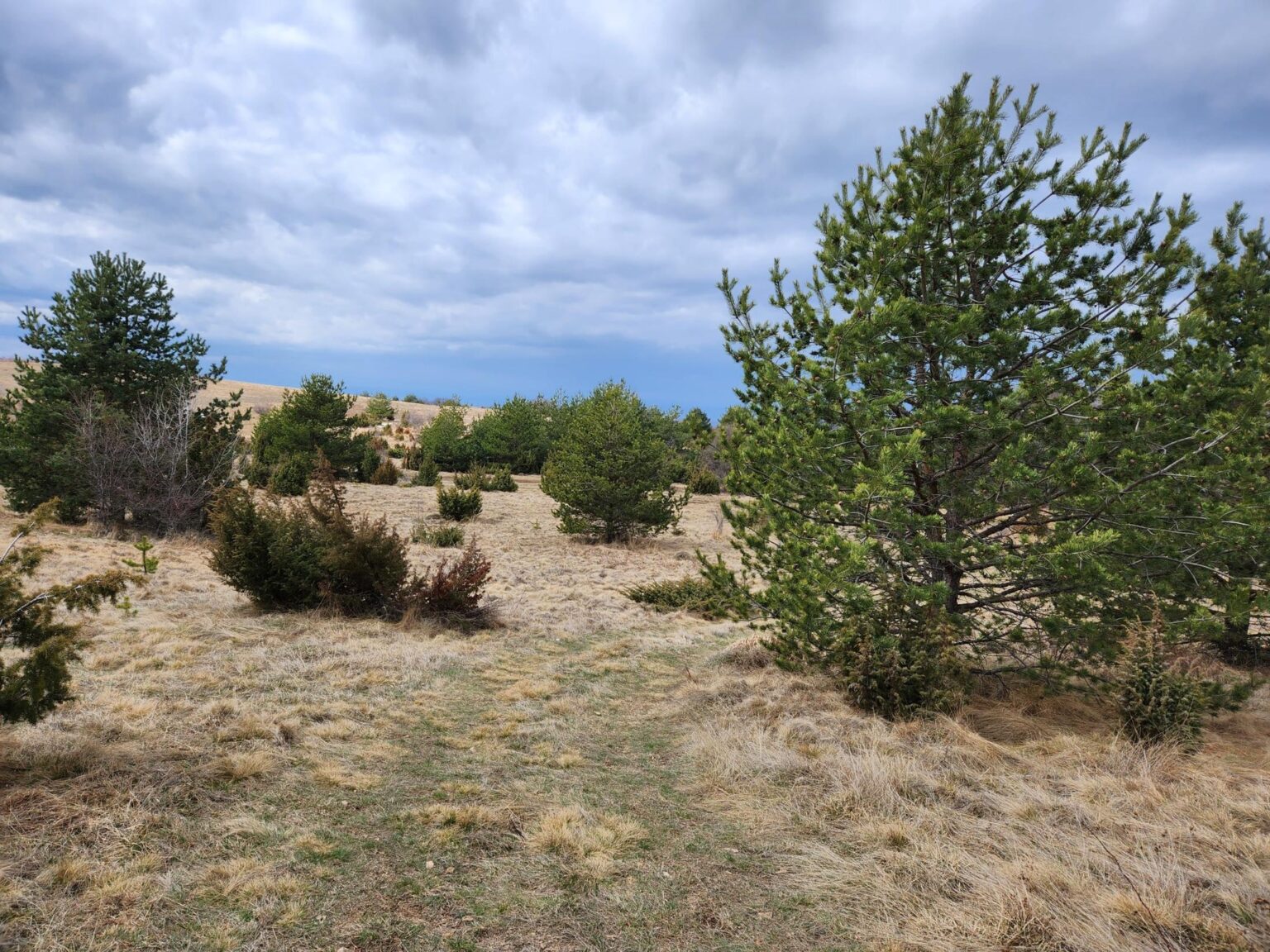 The Dark Side of Vitosha: The Eco-Trail from Chuypetlovo to Smilyo Shelter