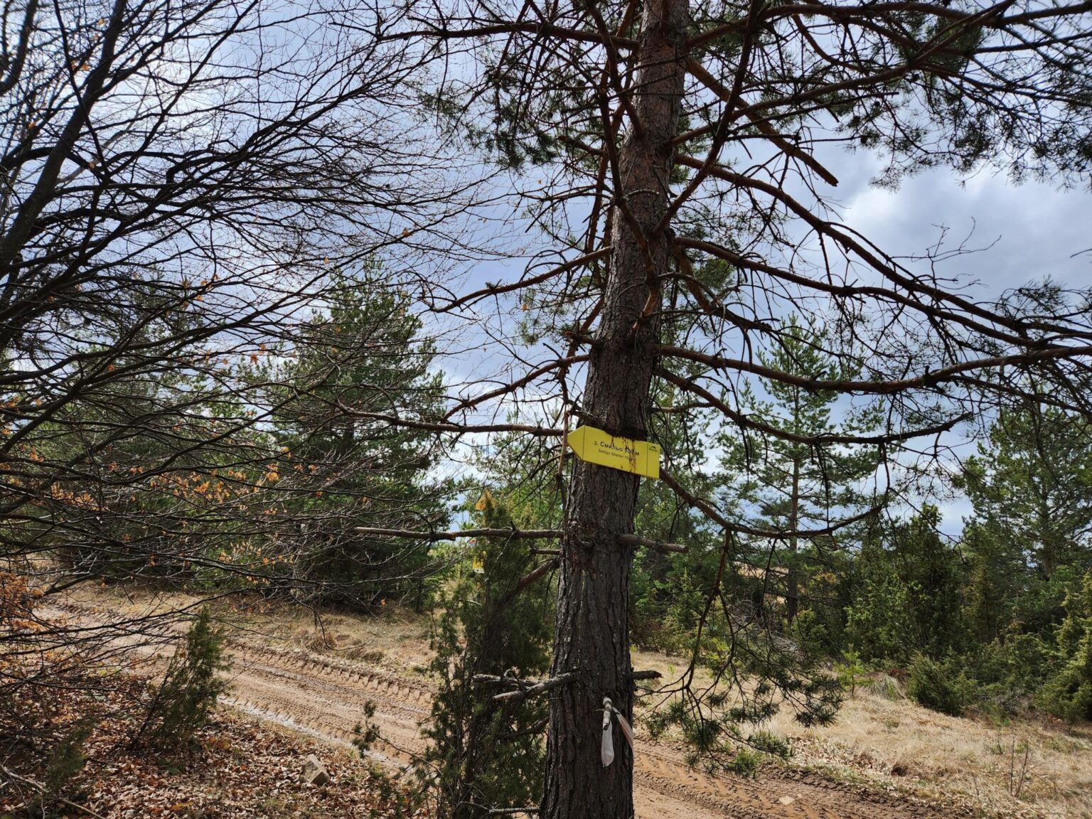 The Dark Side of Vitosha: The Eco-Trail from Chuypetlovo to Smilyo Shelter