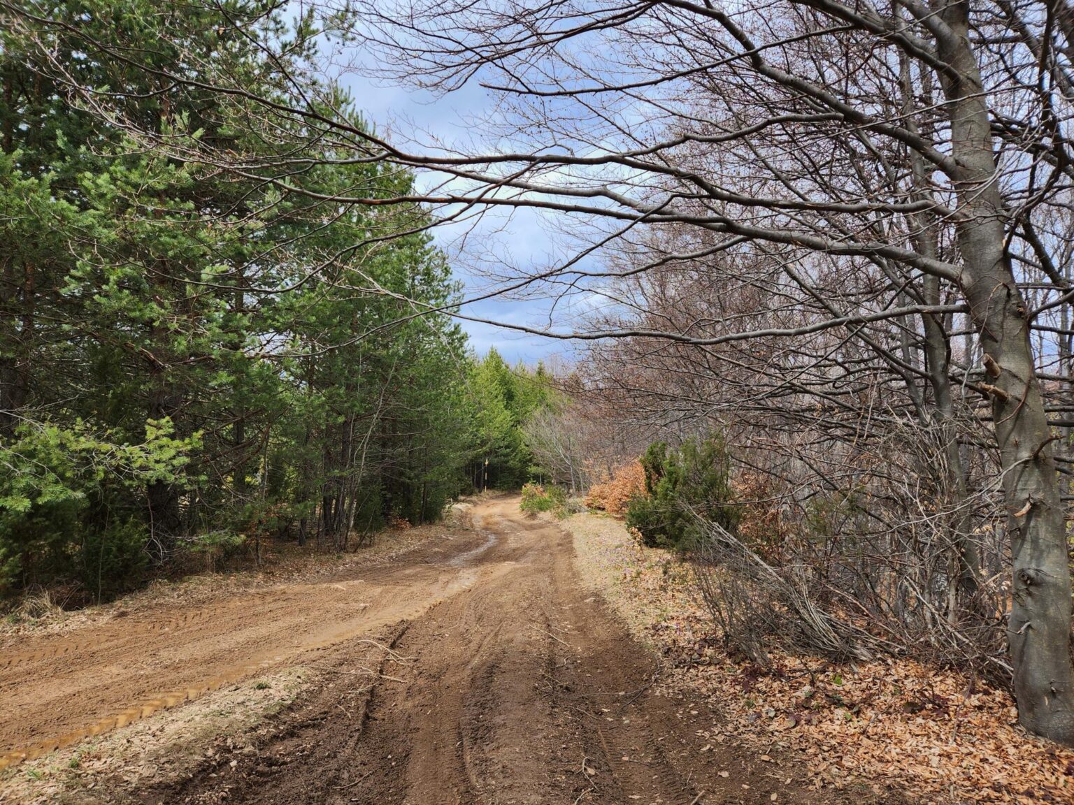 The Dark Side of Vitosha: The Eco-Trail from Chuypetlovo to Smilyo Shelter