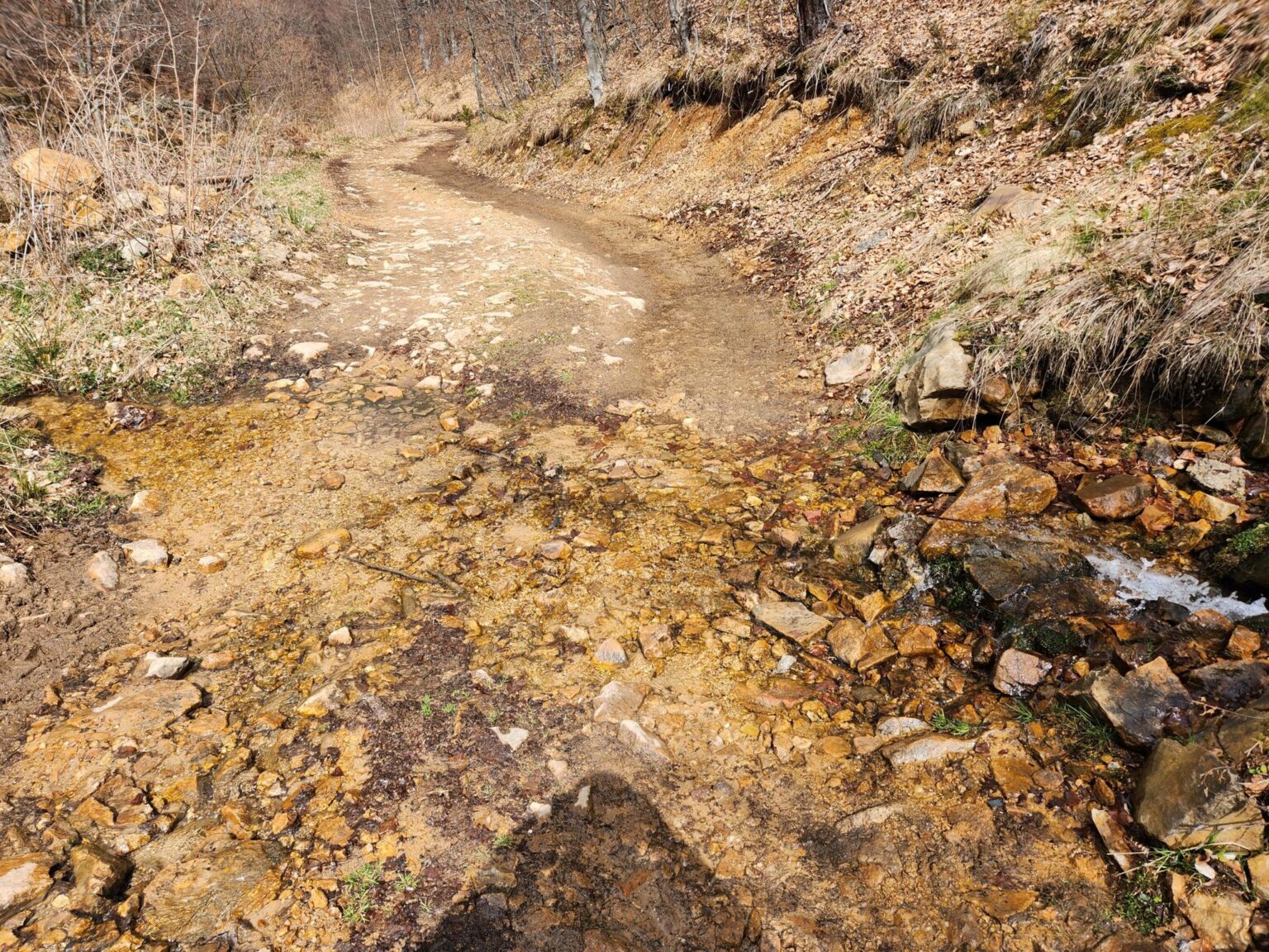 The Dark Side of Vitosha: The Eco-Trail from Chuypetlovo to Smilyo Shelter