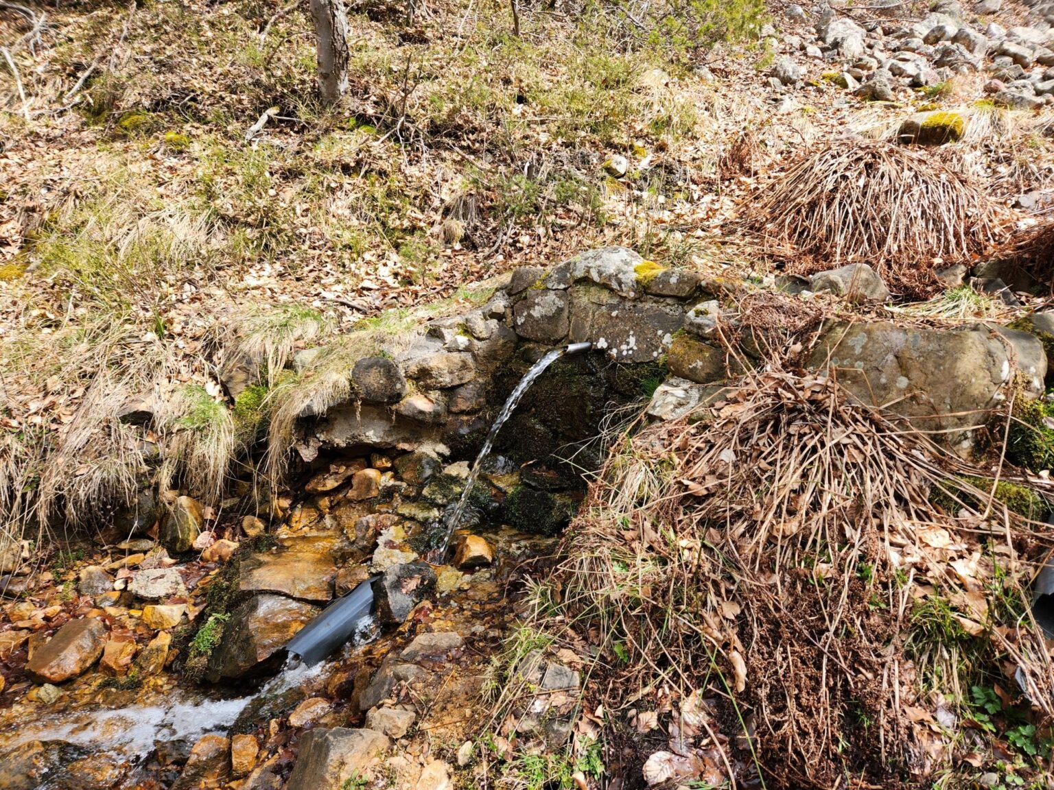 The Dark Side of Vitosha: The Eco-Trail from Chuypetlovo to Smilyo Shelter