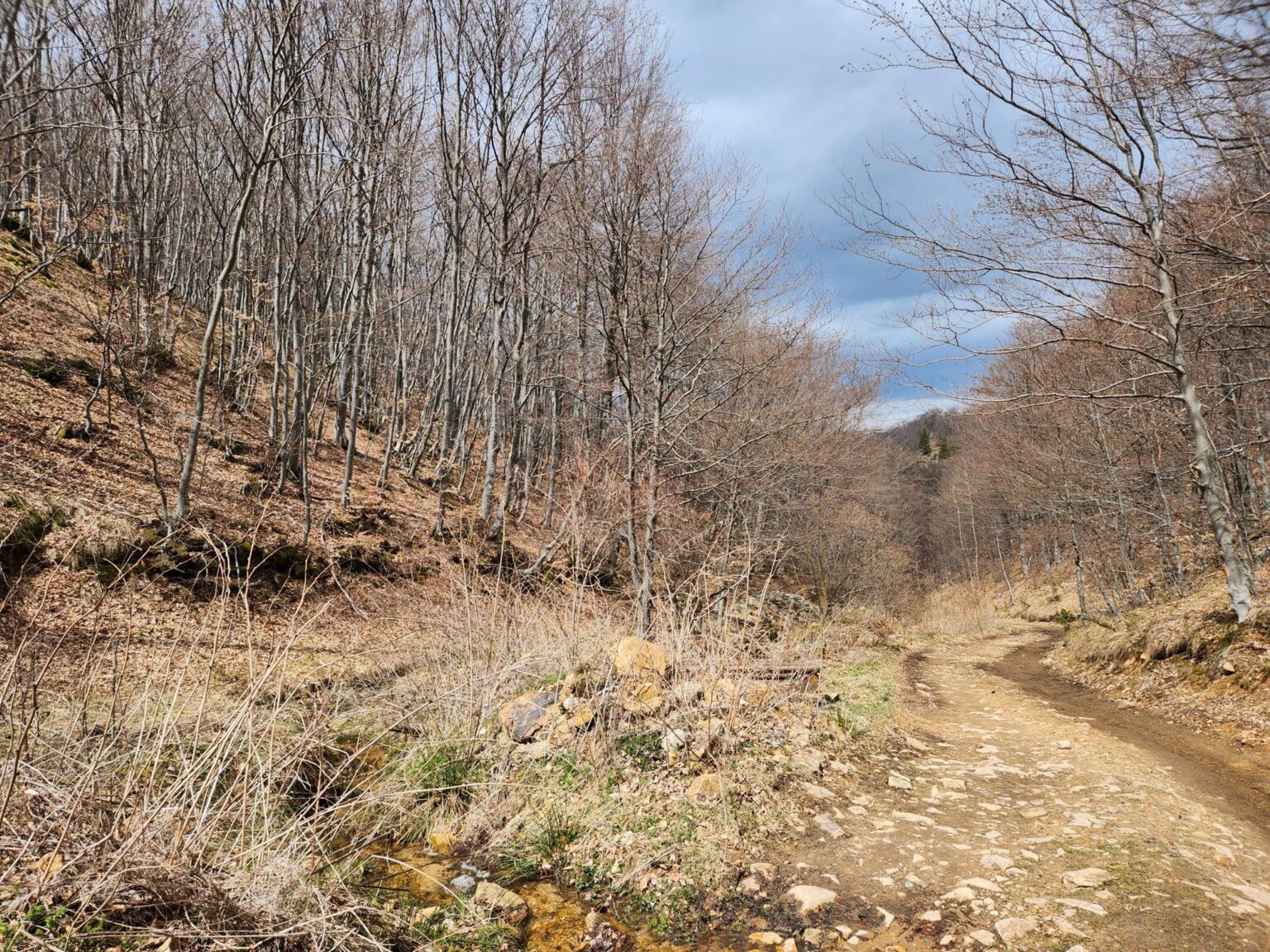 The Dark Side of Vitosha: The Eco-Trail from Chuypetlovo to Smilyo Shelter