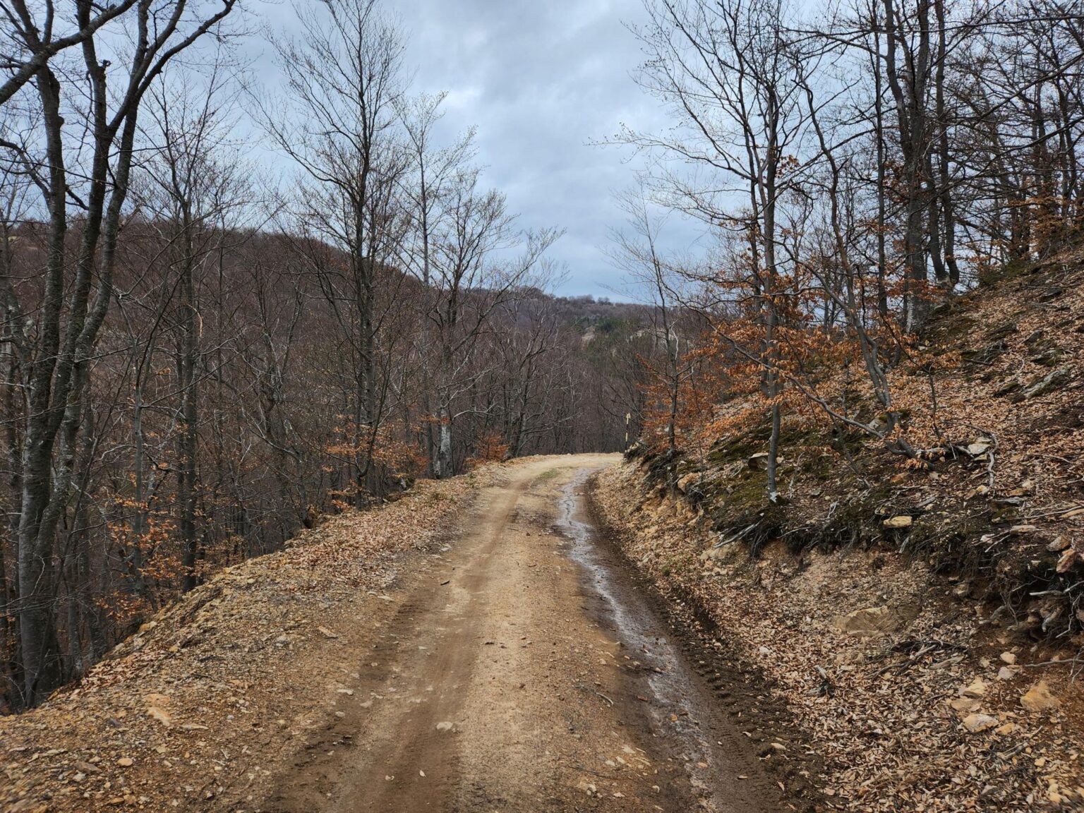 The Dark Side of Vitosha: The Eco-Trail from Chuypetlovo to Smilyo Shelter