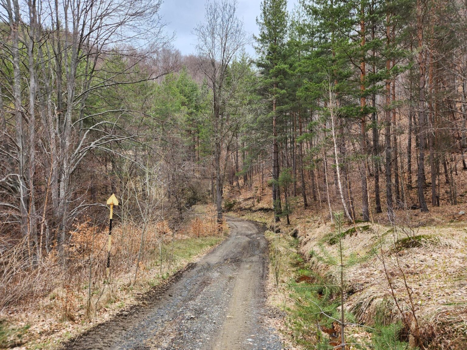 The Dark Side of Vitosha: The Eco-Trail from Chuypetlovo to Smilyo Shelter