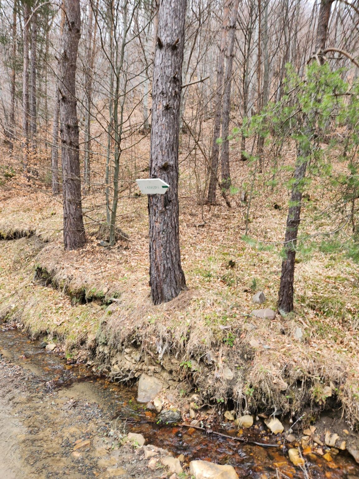 The Dark Side of Vitosha: The Eco-Trail from Chuypetlovo to Smilyo Shelter