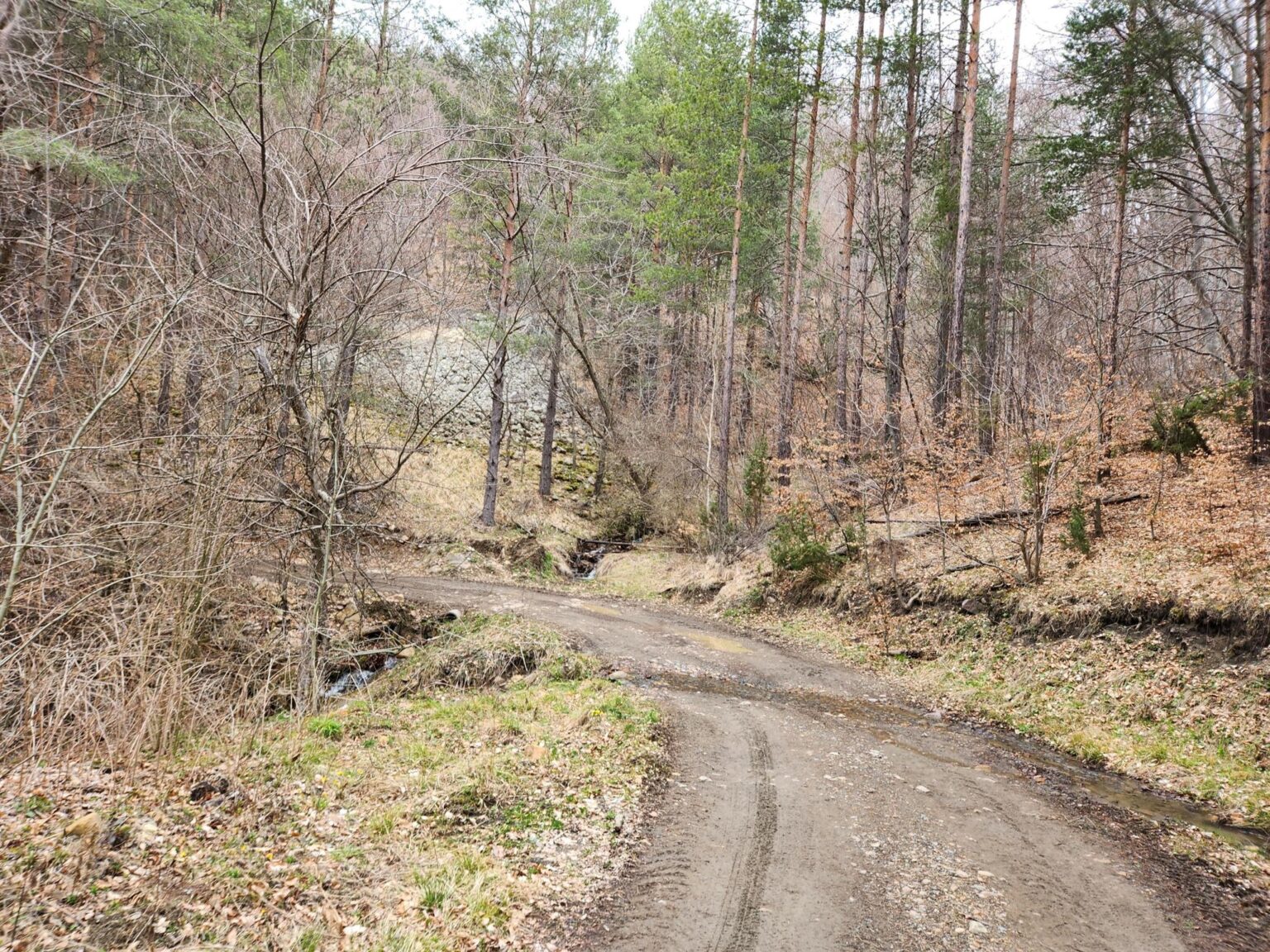The Dark Side of Vitosha: The Eco-Trail from Chuypetlovo to Smilyo Shelter