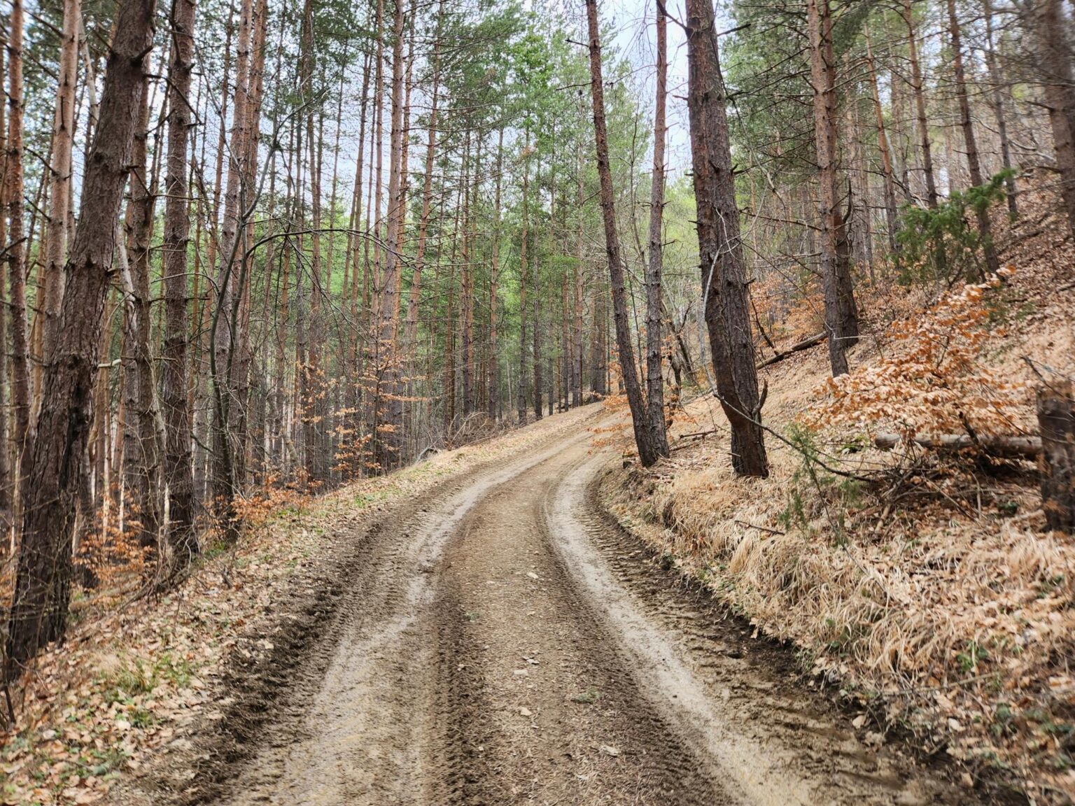 The Dark Side of Vitosha: The Eco-Trail from Chuypetlovo to Smilyo Shelter