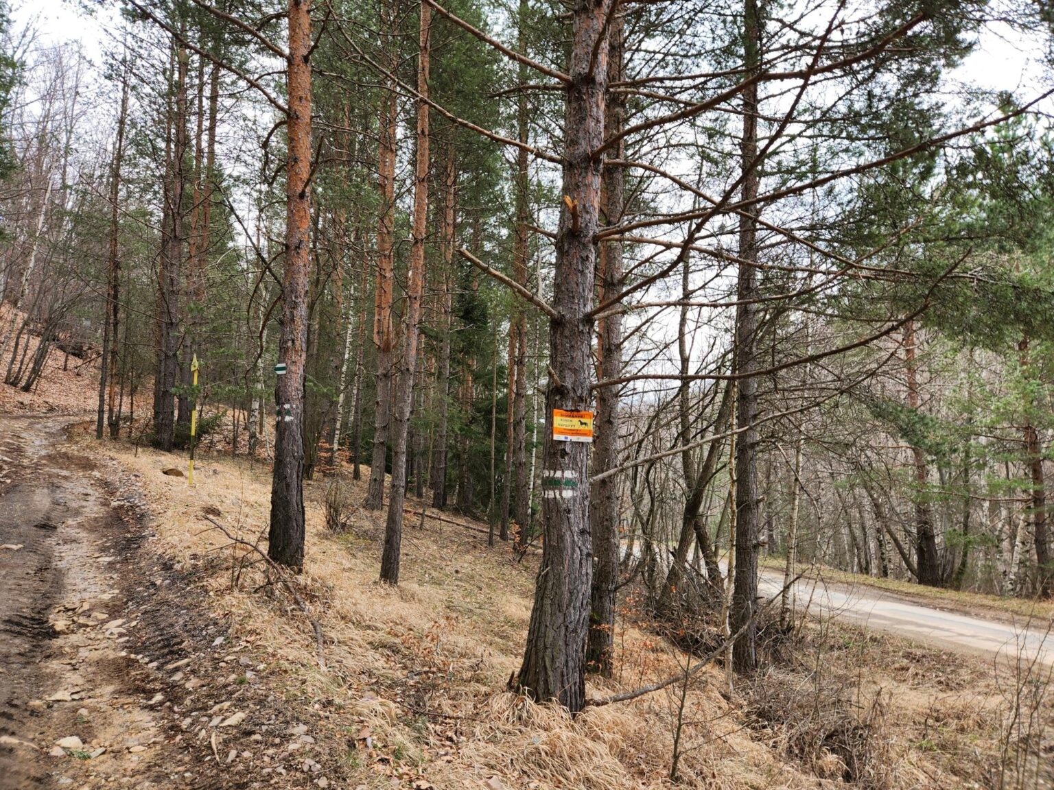 The Dark Side of Vitosha: The Eco-Trail from Chuypetlovo to Smilyo Shelter