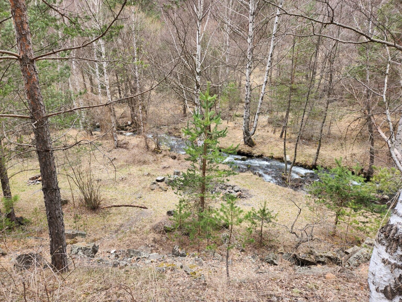 The Dark Side of Vitosha: The Eco-Trail from Chuypetlovo to Smilyo Shelter