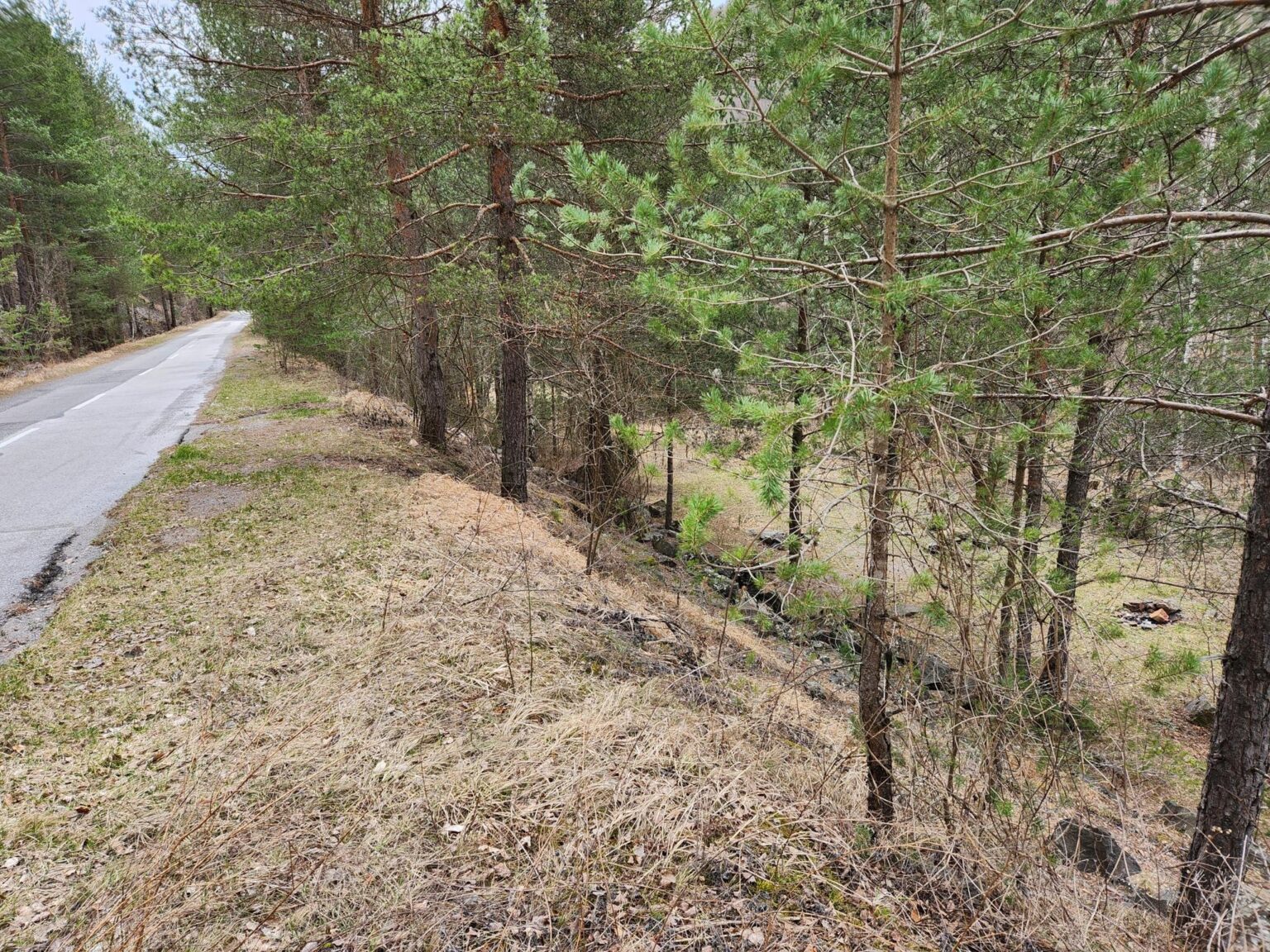 The Dark Side of Vitosha: The Eco-Trail from Chuypetlovo to Smilyo Shelter