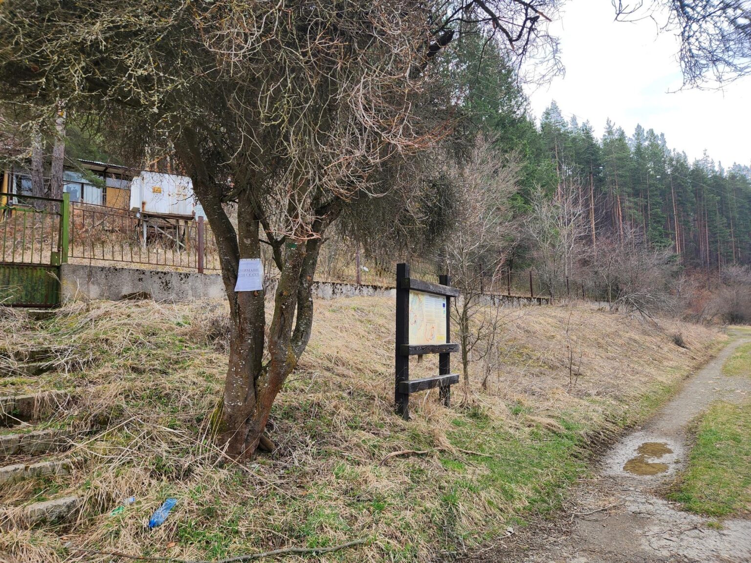 The Dark Side of Vitosha: The Eco-Trail from Chuypetlovo to Smilyo Shelter