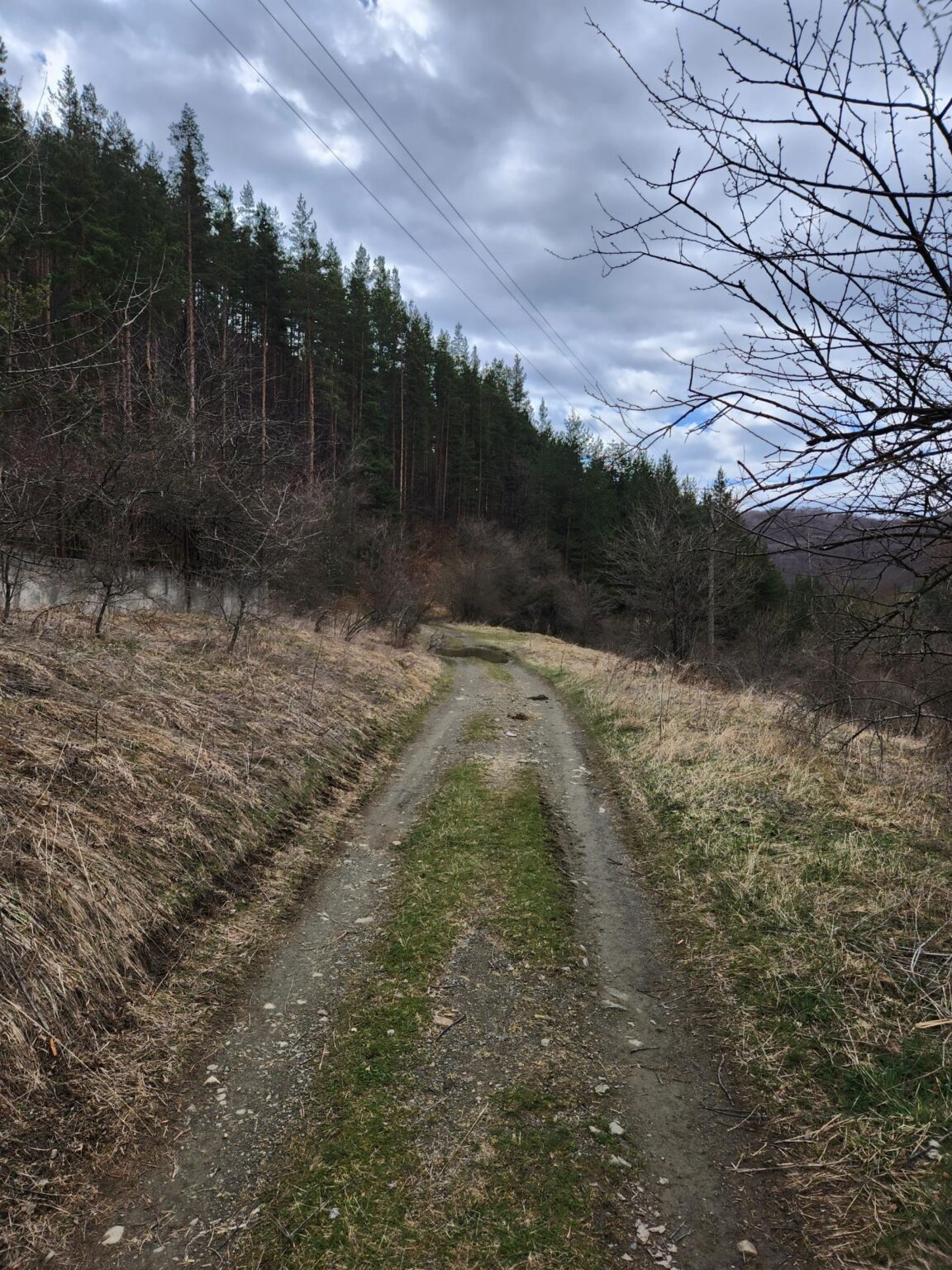 The Dark Side of Vitosha: The Eco-Trail from Chuypetlovo to Smilyo Shelter