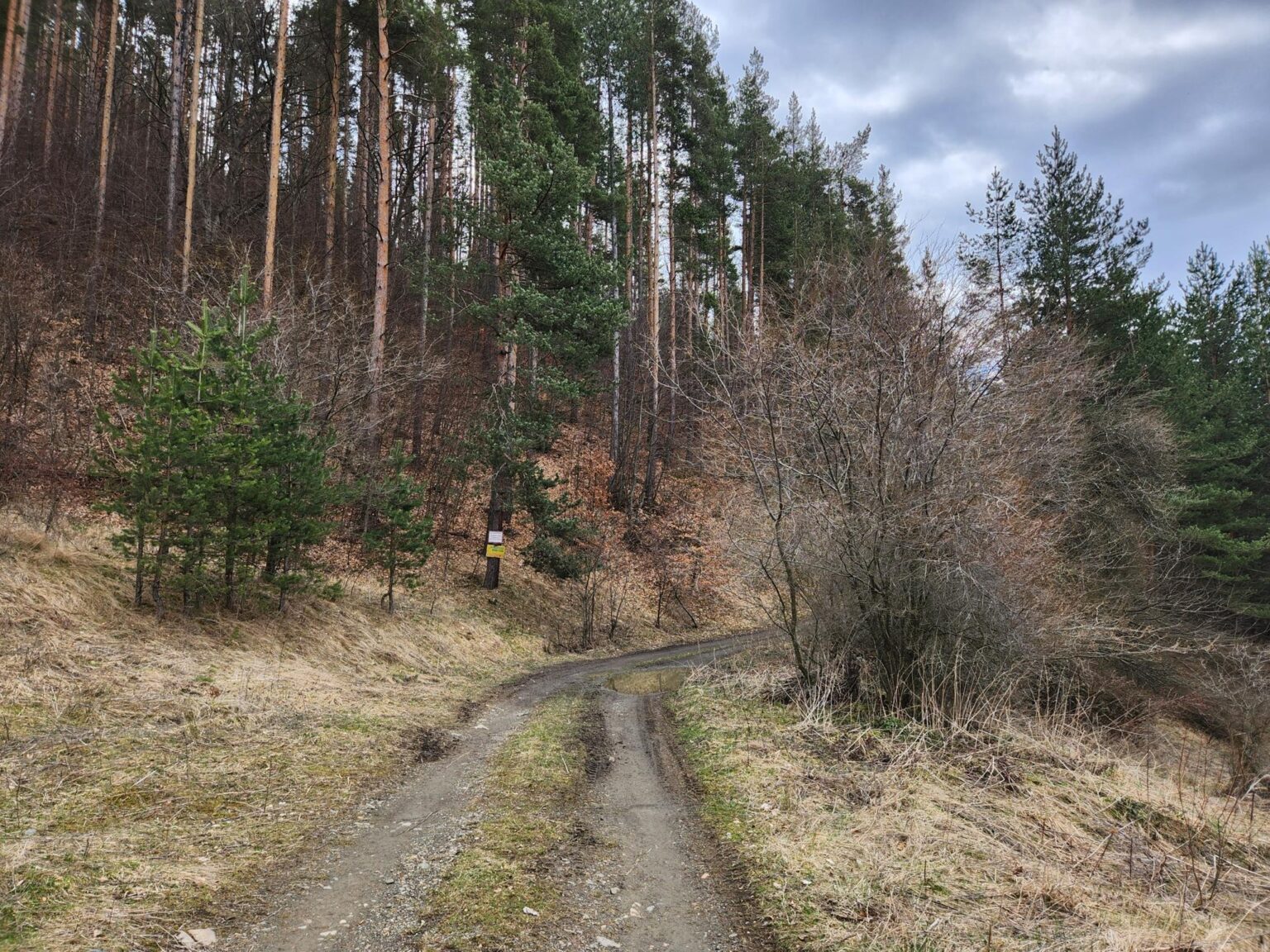 The Dark Side of Vitosha: The Eco-Trail from Chuypetlovo to Smilyo Shelter