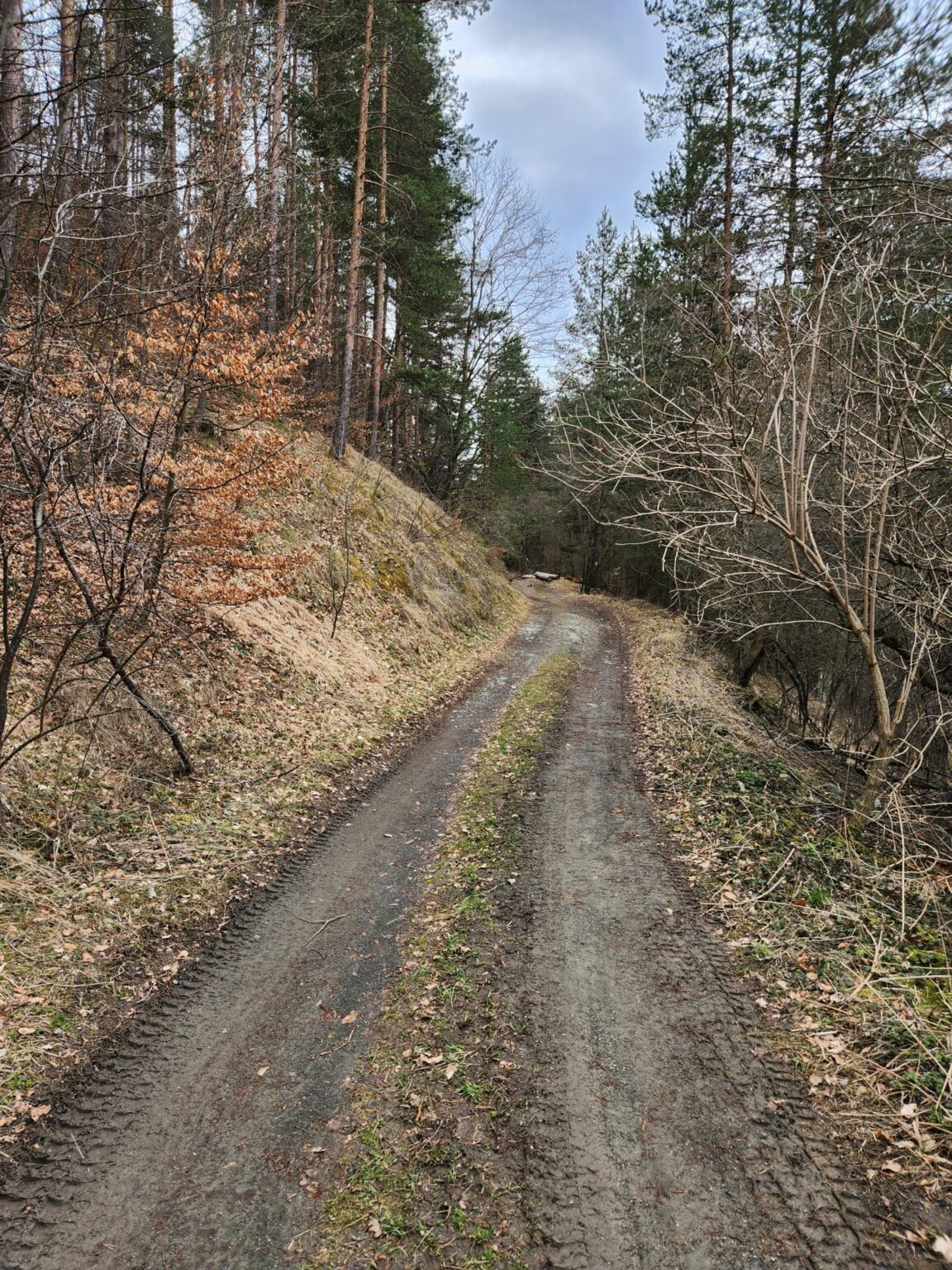 The Dark Side of Vitosha: The Eco-Trail from Chuypetlovo to Smilyo Shelter