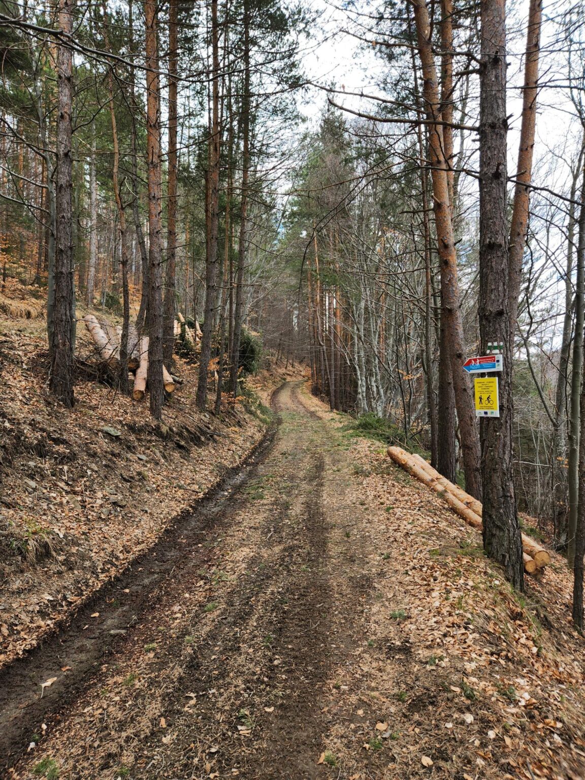 The Dark Side of Vitosha: The Eco-Trail from Chuypetlovo to Smilyo Shelter